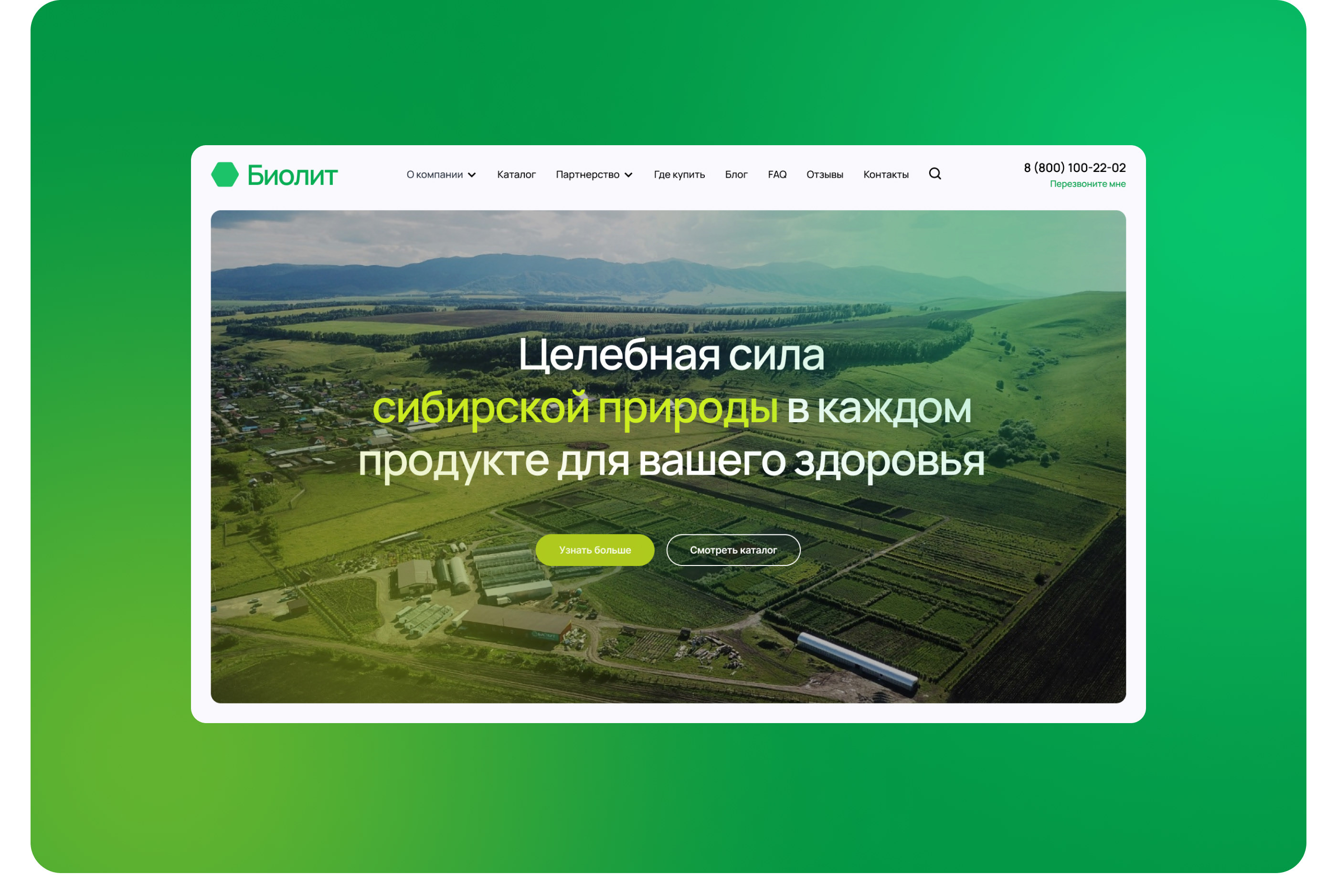 Биолит — Изображение №3 — Интерфейсы на Dprofile
