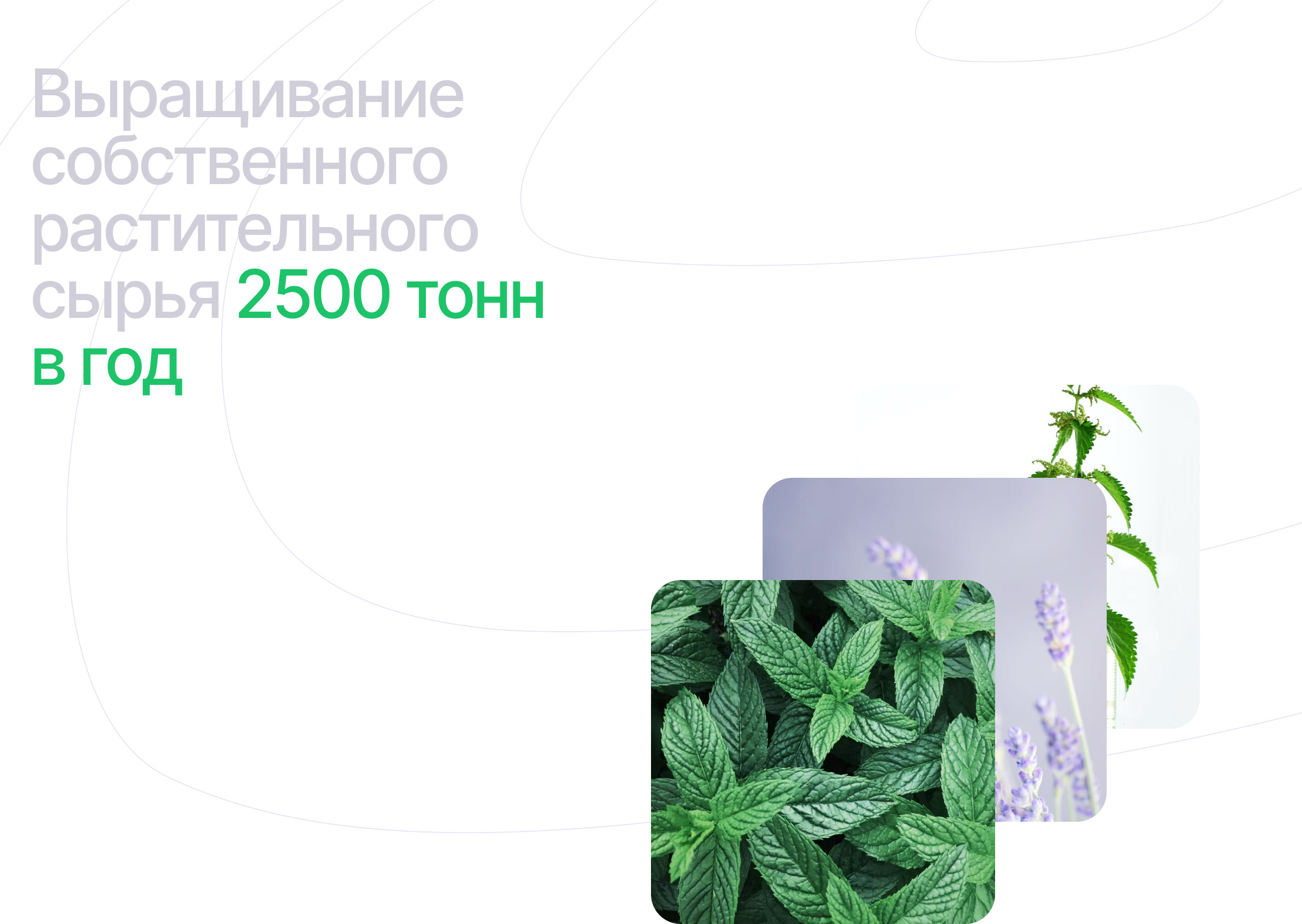 Биолит — Изображение №15 — Интерфейсы на Dprofile