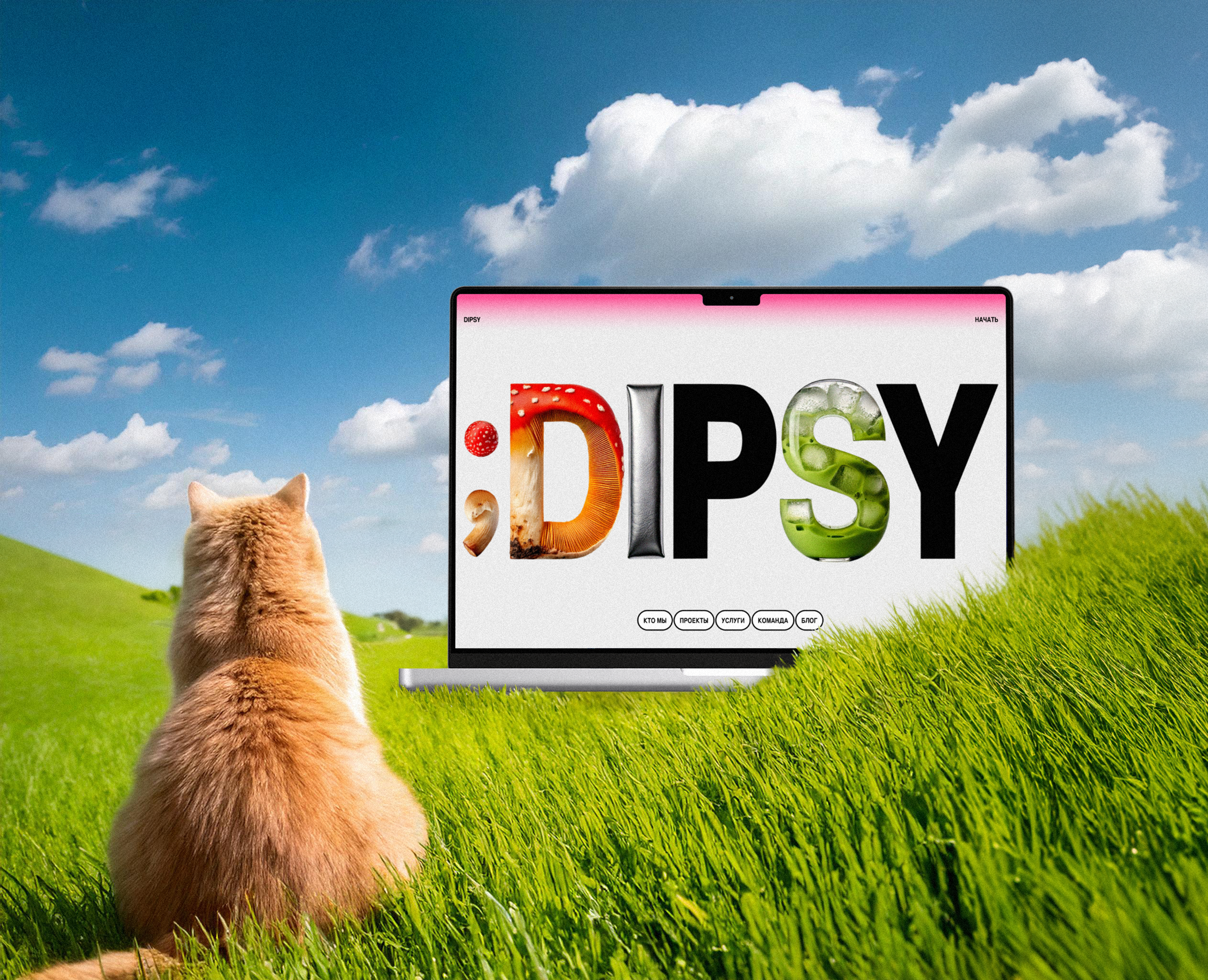 Dipsy Studio website на Dprofile