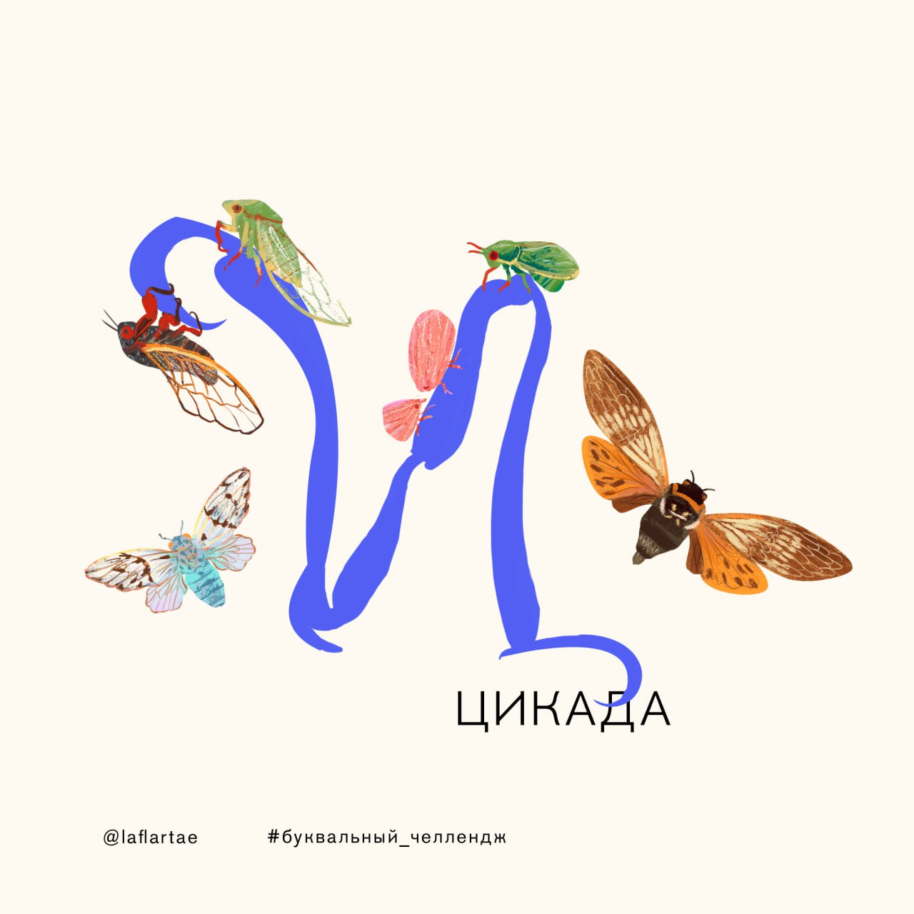 «Азбука энтомолога»_иллюстрированный алфавит | бквч — Изображение №27 — Брендинг, Иллюстрация, Графика на Dprofile