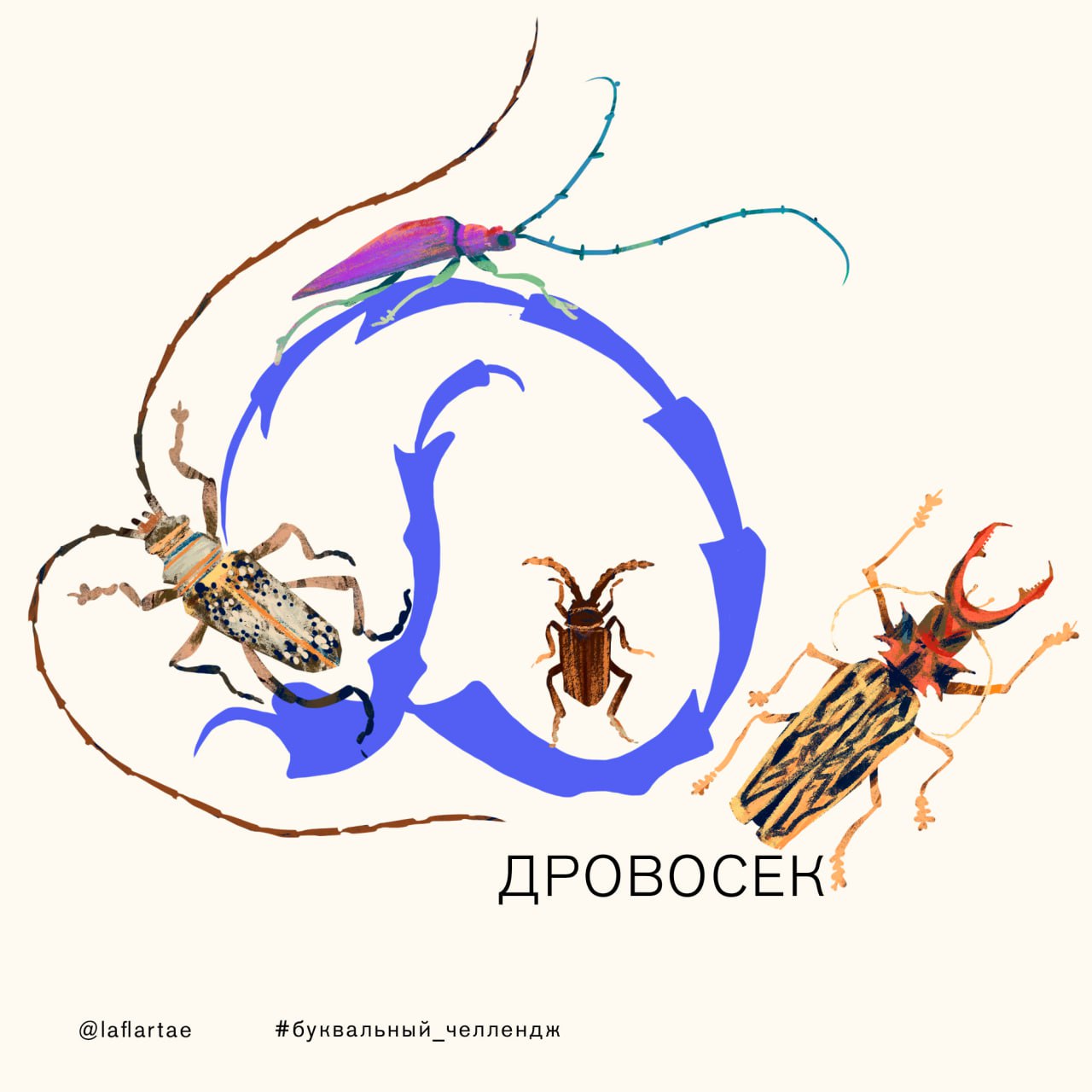 «Азбука энтомолога»_иллюстрированный алфавит | бквч — Изображение №8 — Брендинг, Иллюстрация, Графика на Dprofile