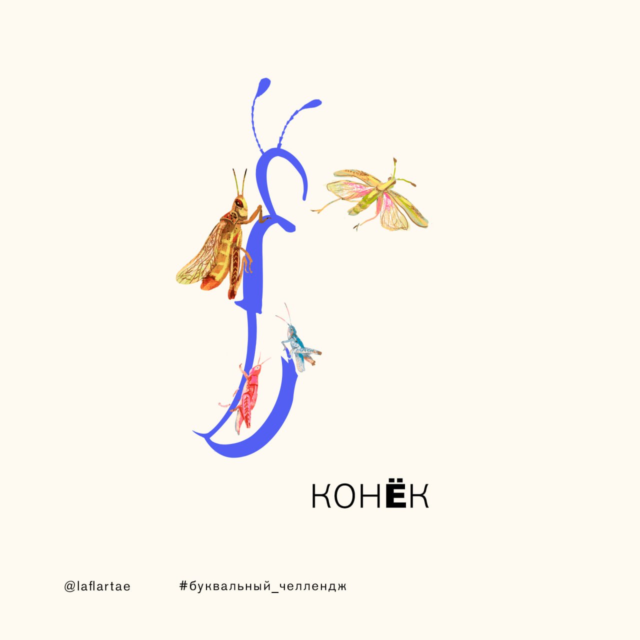 «Азбука энтомолога»_иллюстрированный алфавит | бквч — Изображение №10 — Брендинг, Иллюстрация, Графика на Dprofile