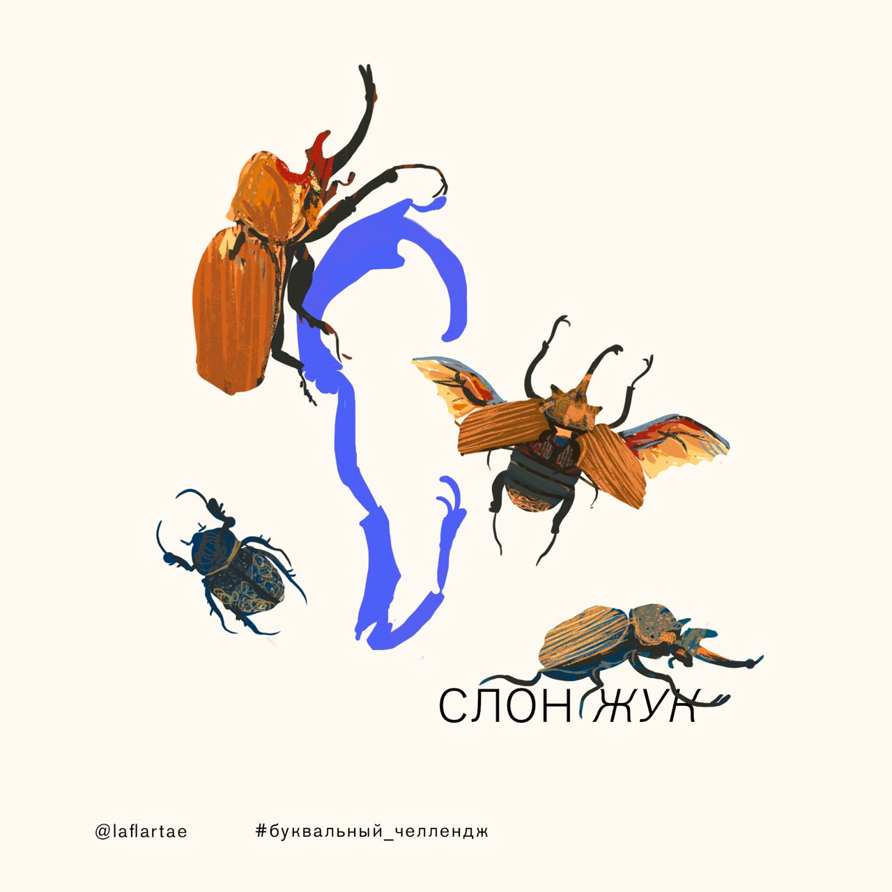 «Азбука энтомолога»_иллюстрированный алфавит | бквч — Изображение №22 — Брендинг, Иллюстрация, Графика на Dprofile