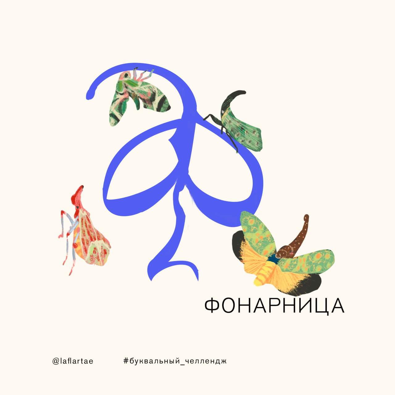 «Азбука энтомолога»_иллюстрированный алфавит | бквч — Изображение №25 — Брендинг, Иллюстрация, Графика на Dprofile