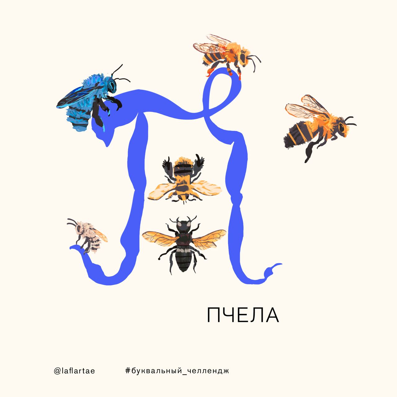 «Азбука энтомолога»_иллюстрированный алфавит | бквч — Изображение №20 — Брендинг, Иллюстрация, Графика на Dprofile