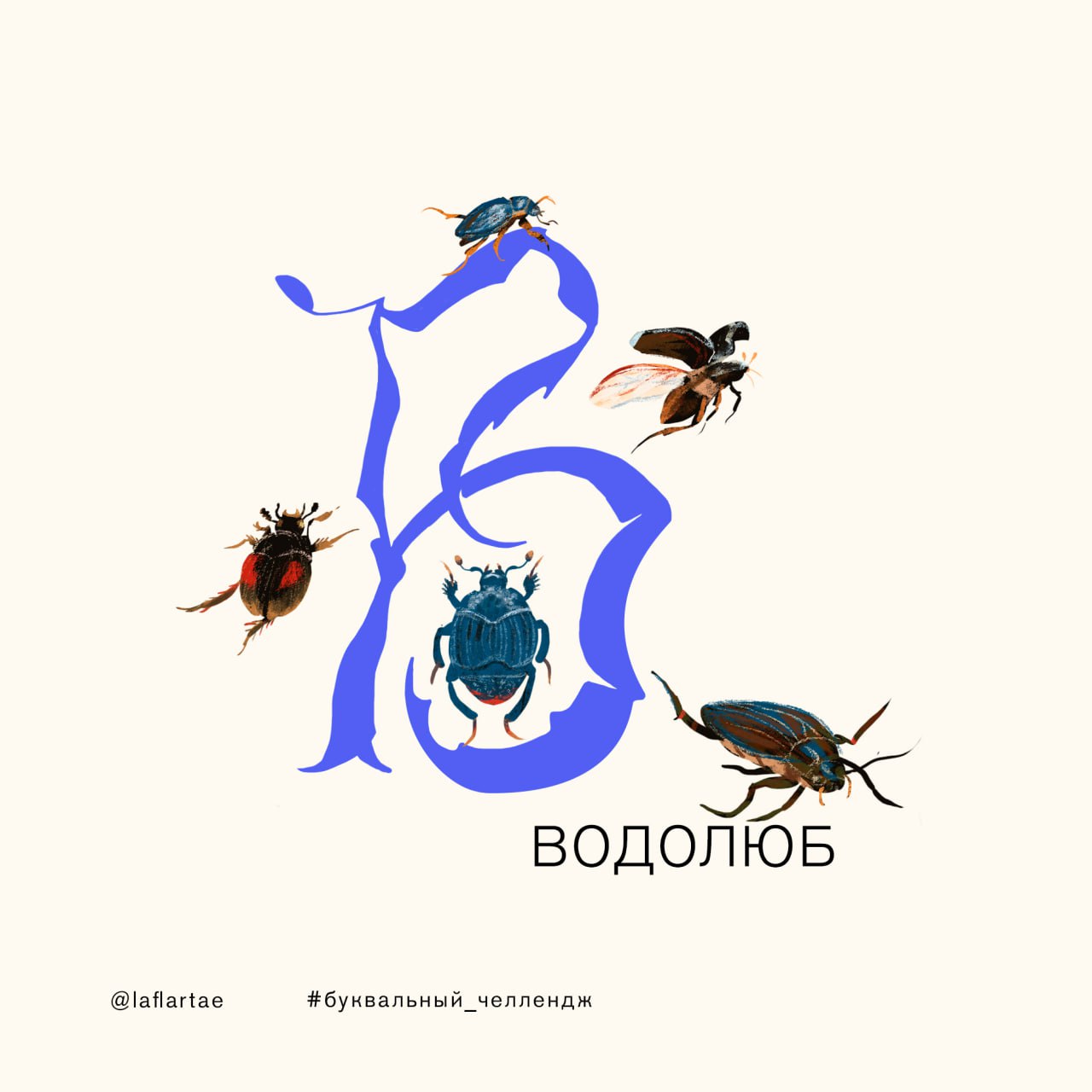 «Азбука энтомолога»_иллюстрированный алфавит | бквч — Изображение №6 — Брендинг, Иллюстрация, Графика на Dprofile