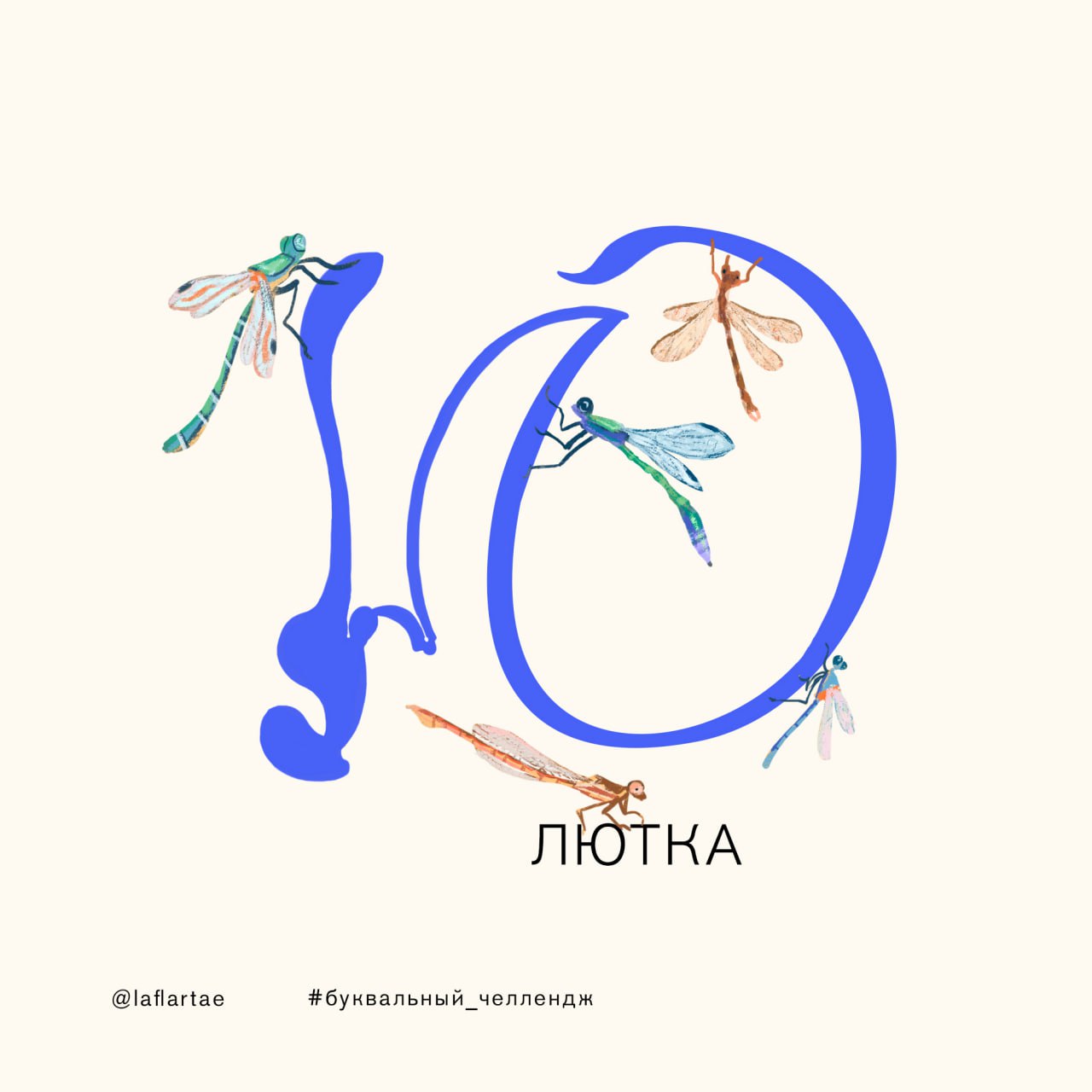 «Азбука энтомолога»_иллюстрированный алфавит | бквч — Изображение №35 — Брендинг, Иллюстрация, Графика на Dprofile
