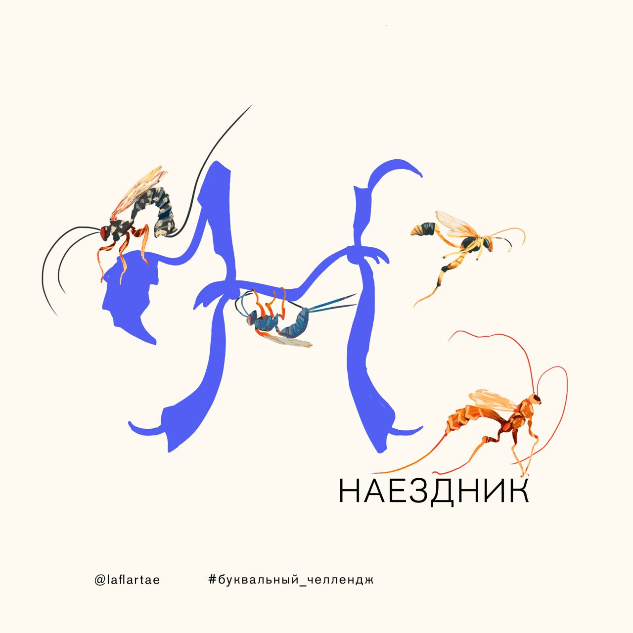 «Азбука энтомолога»_иллюстрированный алфавит | бквч — Изображение №18 — Брендинг, Иллюстрация, Графика на Dprofile