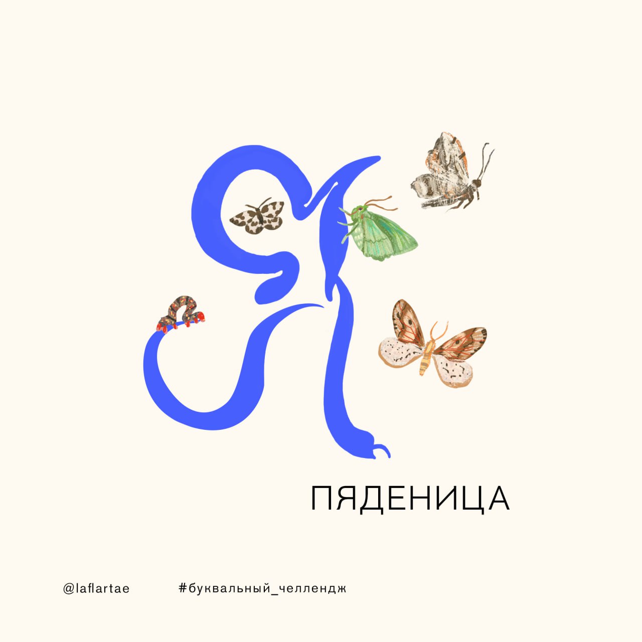 «Азбука энтомолога»_иллюстрированный алфавит | бквч — Изображение №36 — Брендинг, Иллюстрация, Графика на Dprofile