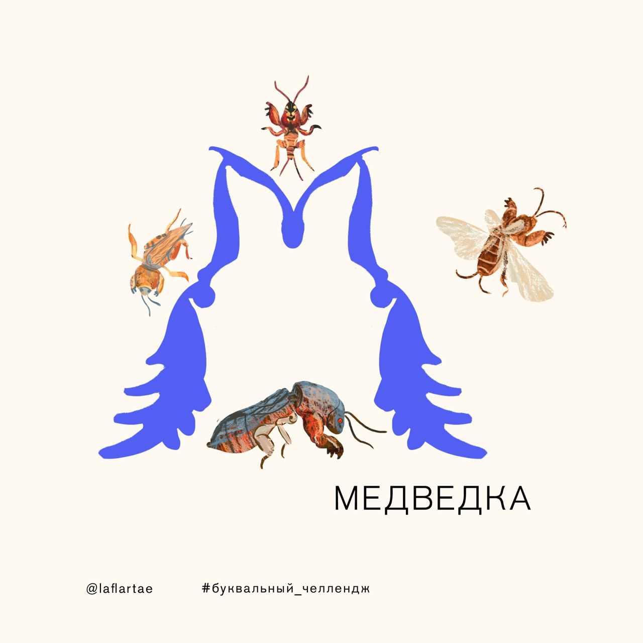 «Азбука энтомолога»_иллюстрированный алфавит | бквч — Изображение №17 — Брендинг, Иллюстрация, Графика на Dprofile