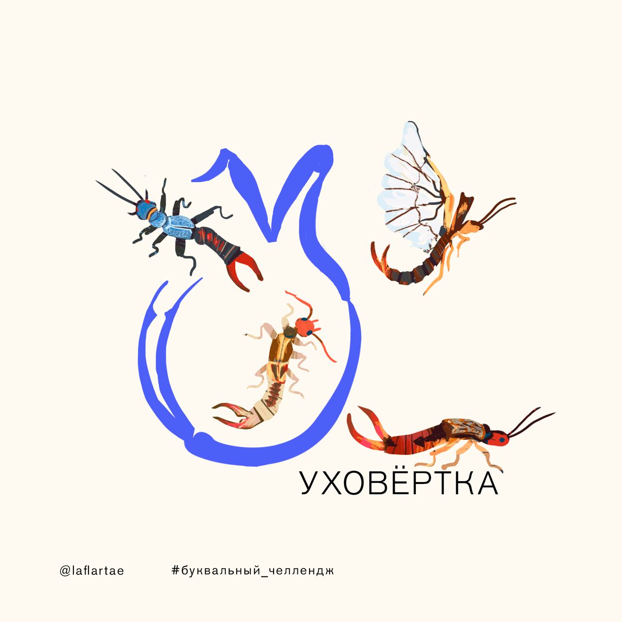 «Азбука энтомолога»_иллюстрированный алфавит | бквч — Изображение №24 — Брендинг, Иллюстрация, Графика на Dprofile