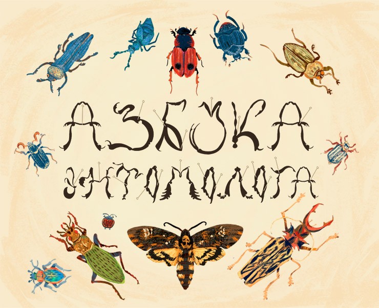 «Азбука энтомолога»_иллюстрированный алфавит | бквч на Dprofile
