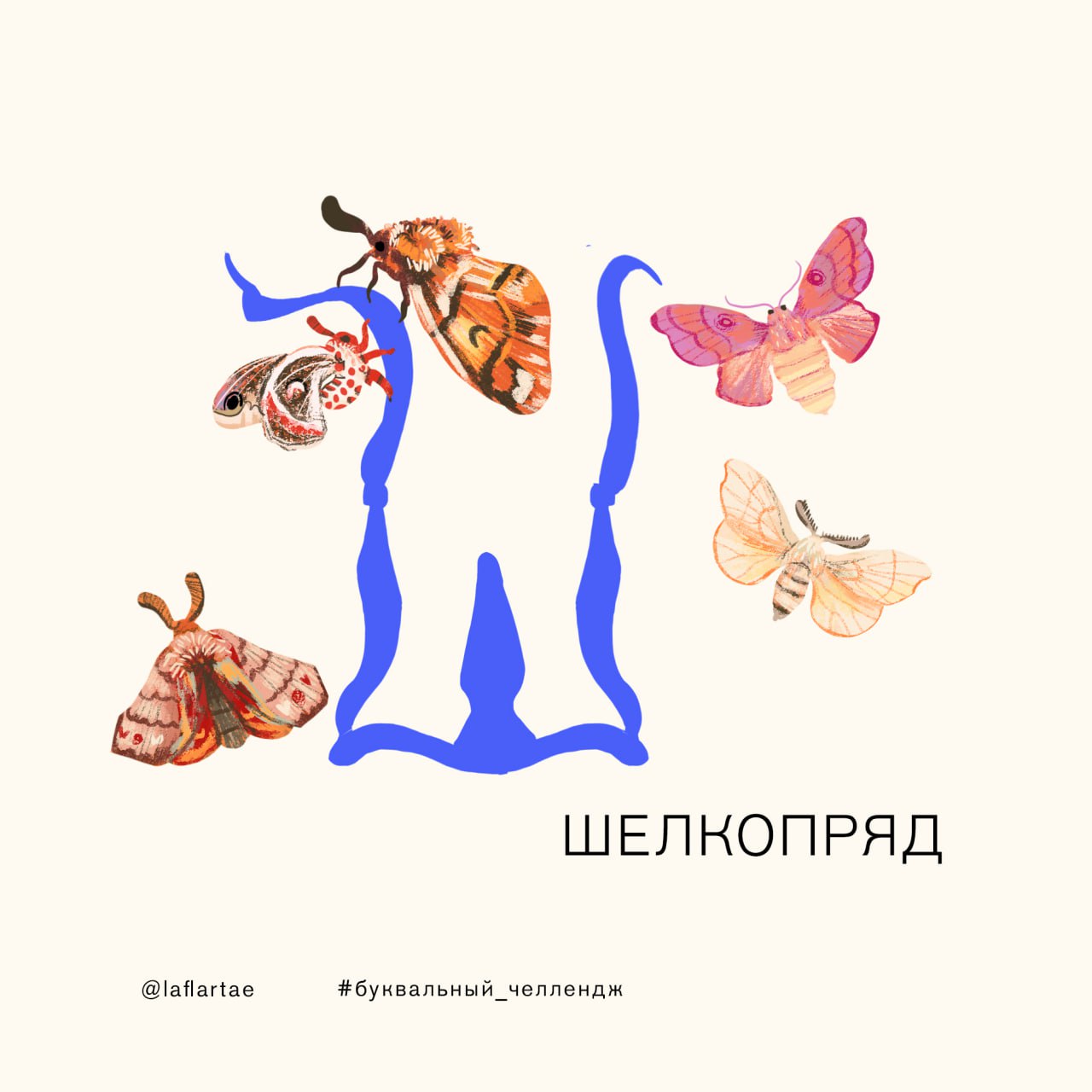 «Азбука энтомолога»_иллюстрированный алфавит | бквч — Изображение №29 — Брендинг, Иллюстрация, Графика на Dprofile