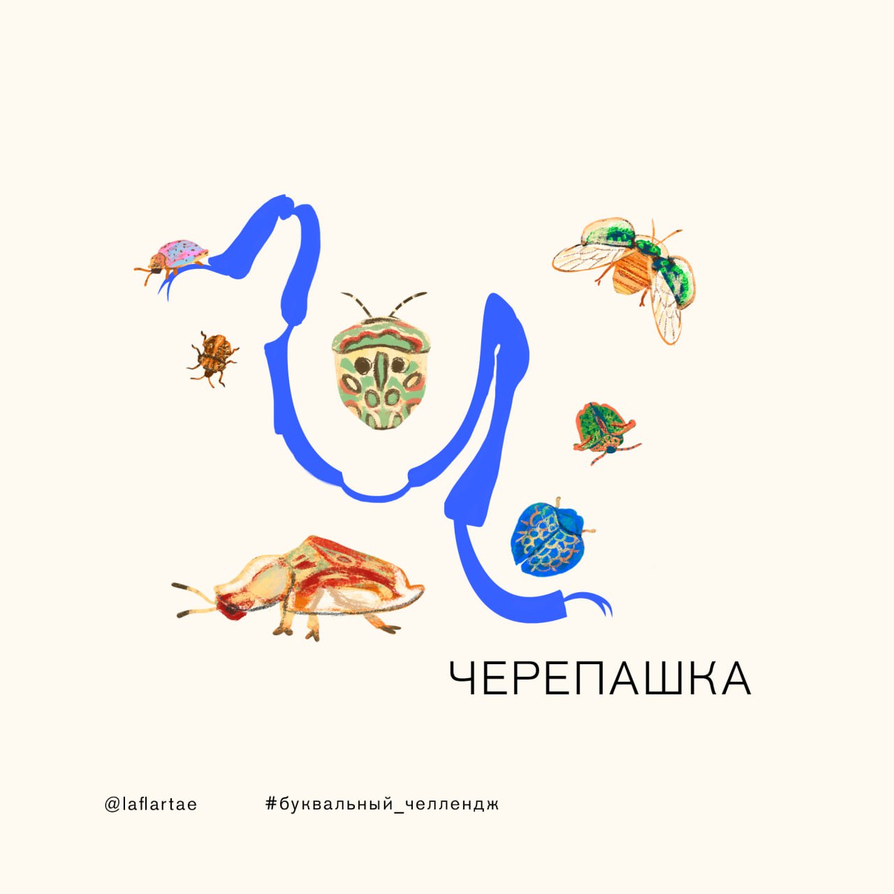 «Азбука энтомолога»_иллюстрированный алфавит | бквч — Изображение №28 — Брендинг, Иллюстрация, Графика на Dprofile