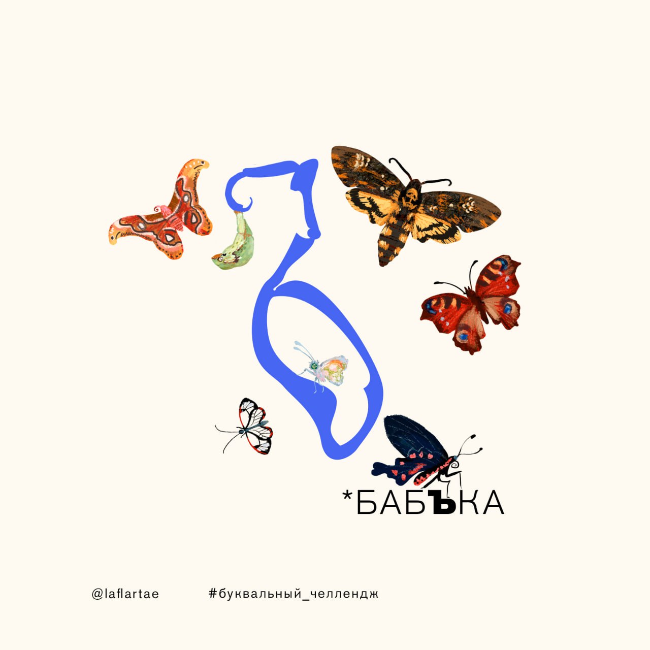 «Азбука энтомолога»_иллюстрированный алфавит | бквч — Изображение №31 — Брендинг, Иллюстрация, Графика на Dprofile