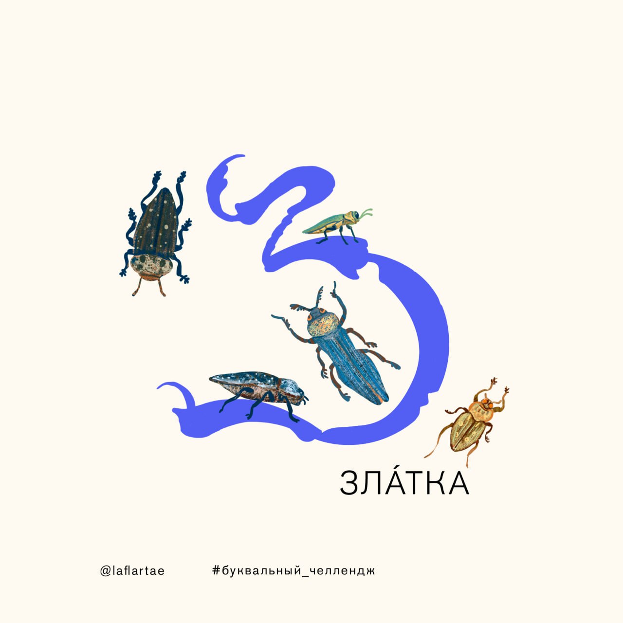 «Азбука энтомолога»_иллюстрированный алфавит | бквч — Изображение №12 — Брендинг, Иллюстрация, Графика на Dprofile