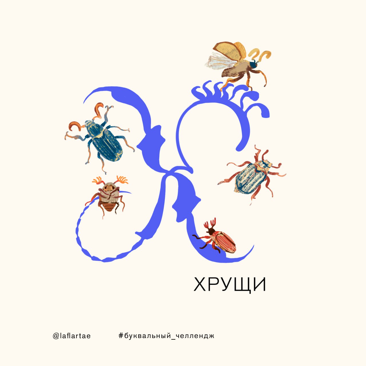 «Азбука энтомолога»_иллюстрированный алфавит | бквч — Изображение №26 — Брендинг, Иллюстрация, Графика на Dprofile