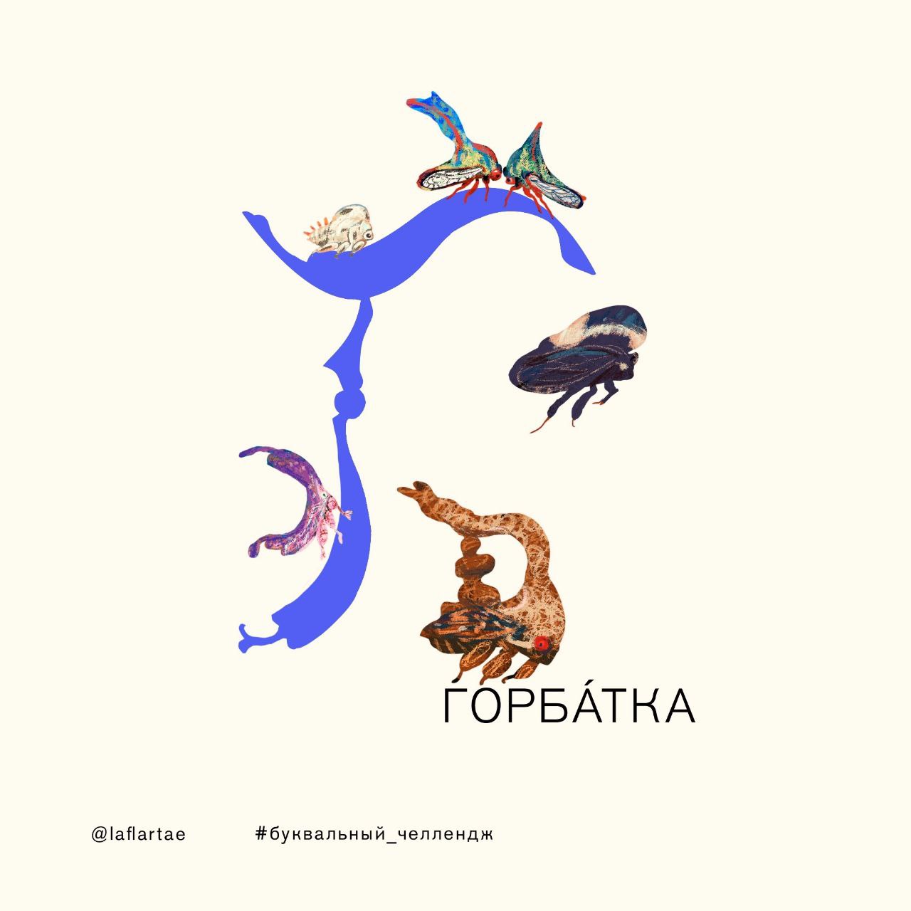 «Азбука энтомолога»_иллюстрированный алфавит | бквч — Изображение №7 — Брендинг, Иллюстрация, Графика на Dprofile