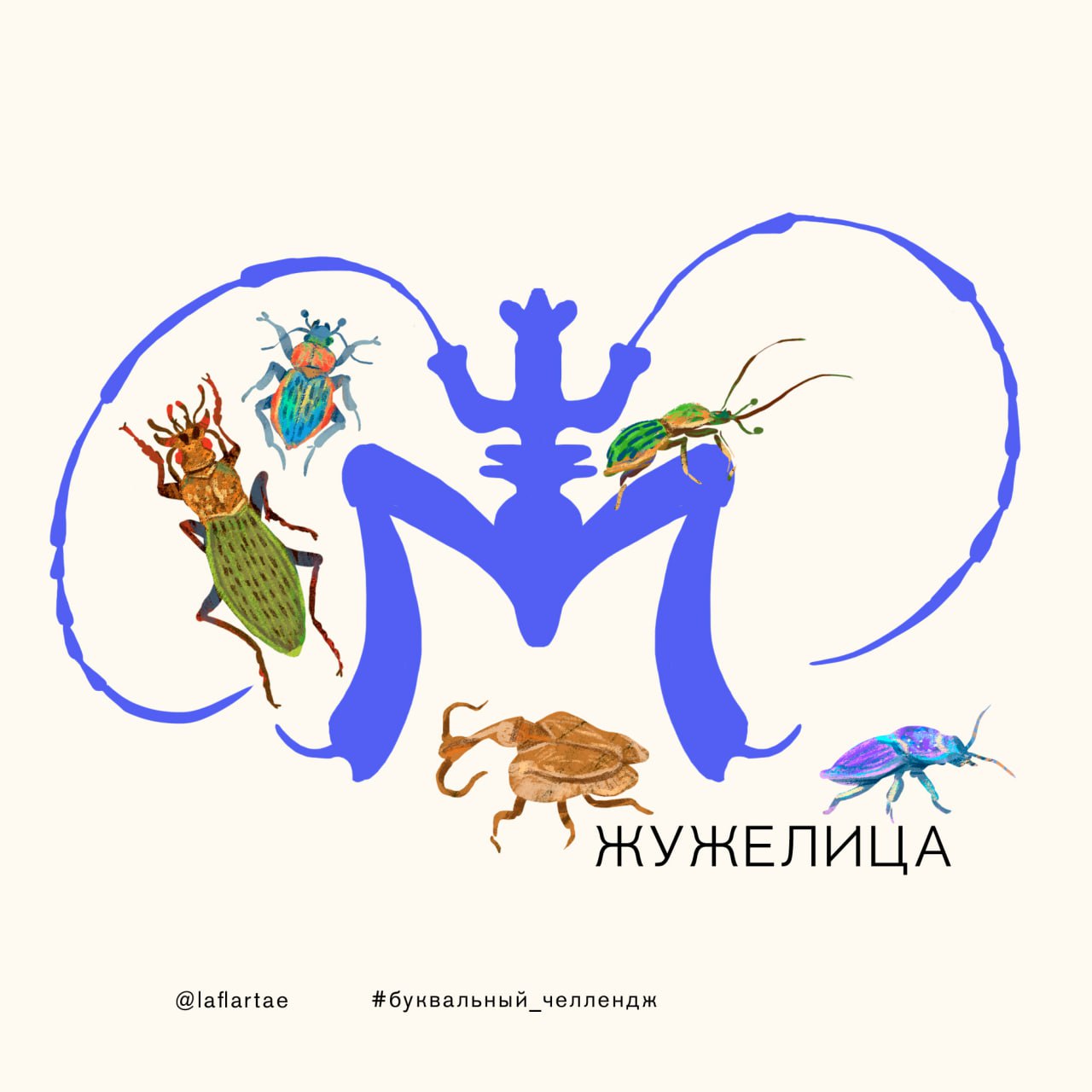 «Азбука энтомолога»_иллюстрированный алфавит | бквч — Изображение №11 — Брендинг, Иллюстрация, Графика на Dprofile
