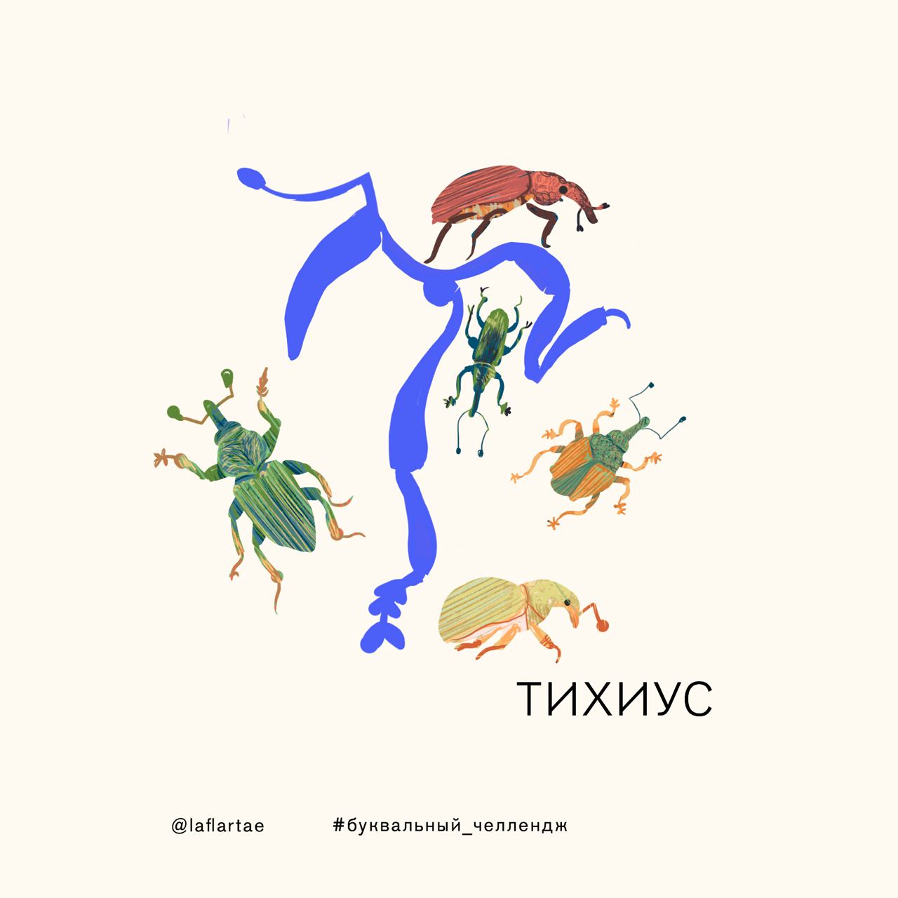 «Азбука энтомолога»_иллюстрированный алфавит | бквч — Изображение №23 — Брендинг, Иллюстрация, Графика на Dprofile