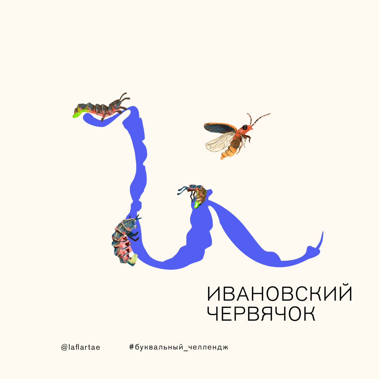 «Азбука энтомолога»_иллюстрированный алфавит | бквч — Изображение №13 — Брендинг, Иллюстрация, Графика на Dprofile