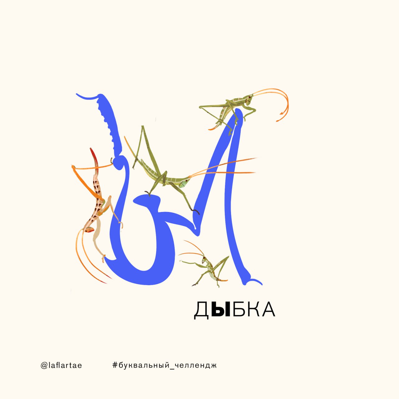 «Азбука энтомолога»_иллюстрированный алфавит | бквч — Изображение №32 — Брендинг, Иллюстрация, Графика на Dprofile
