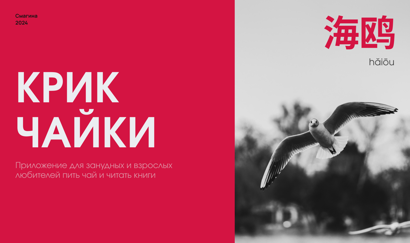 Крик чайки — Изображение №1 — Интерфейсы на Dprofile