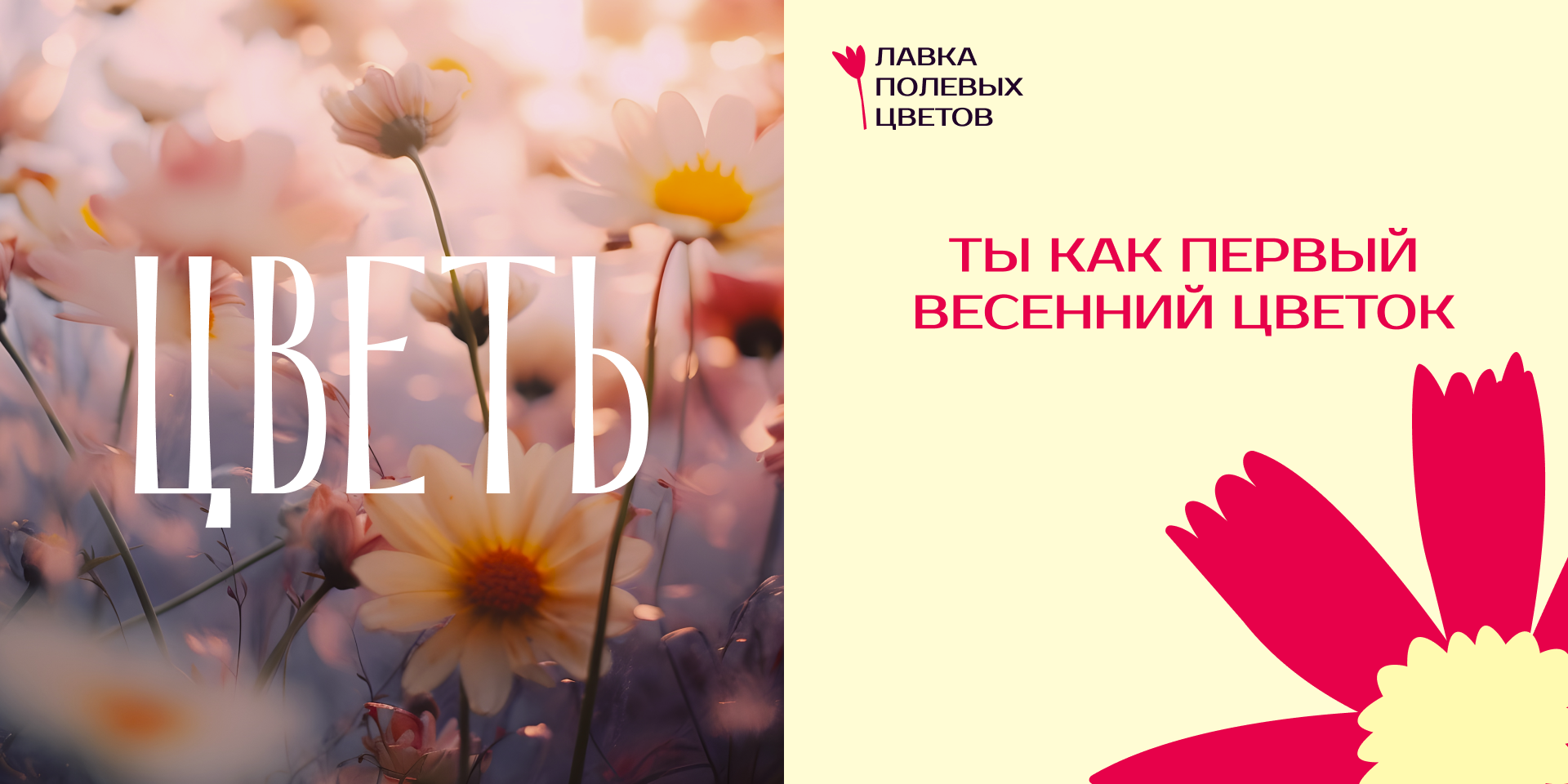 Брендинг | Лавка полевых цветов — Изображение №4 — Интерфейсы, Брендинг на Dprofile