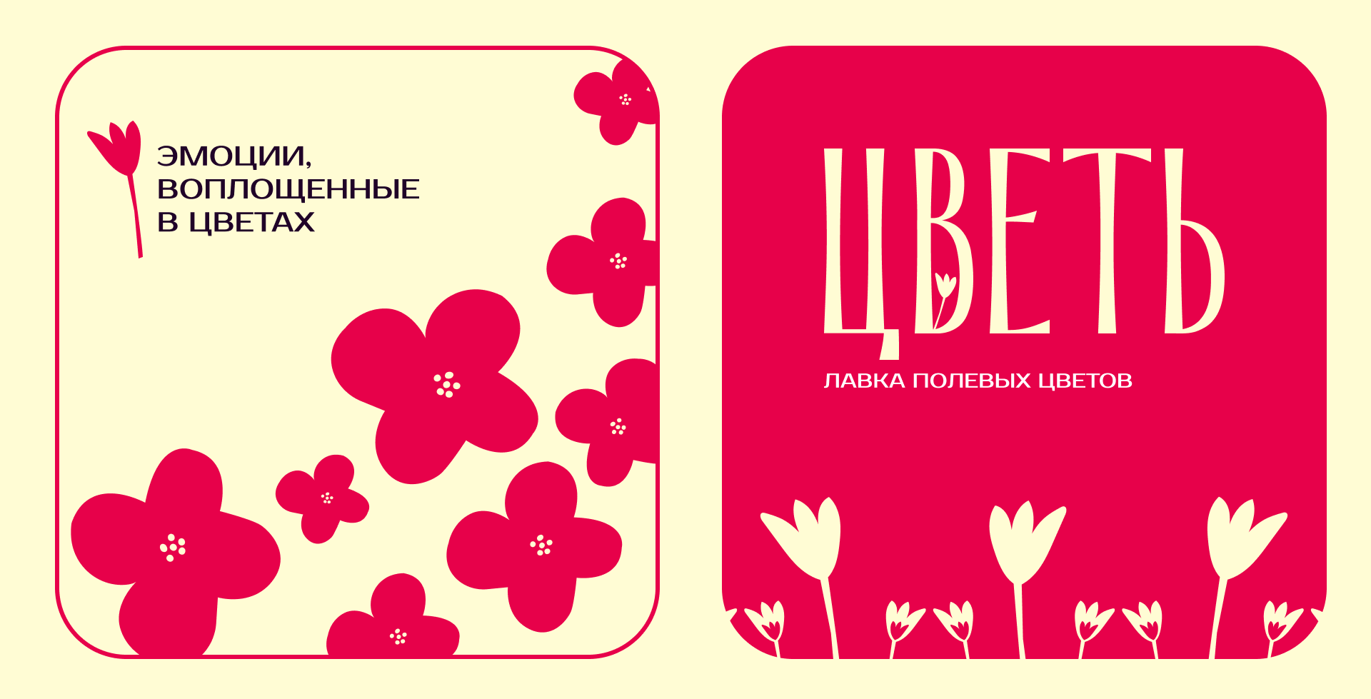 Брендинг | Лавка полевых цветов — Изображение №5 — Интерфейсы, Брендинг на Dprofile