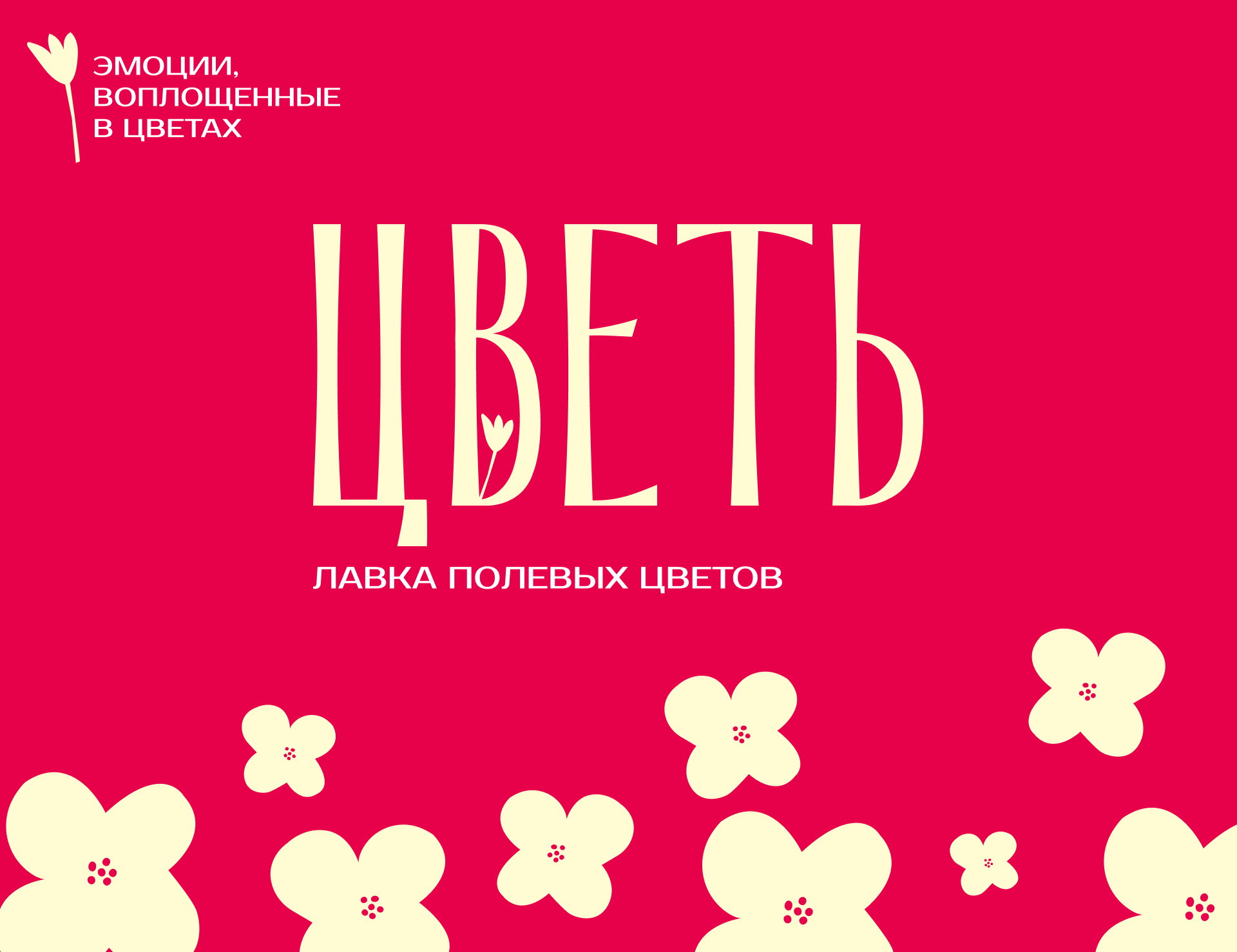Брендинг | Лавка полевых цветов — Изображение №1 — Интерфейсы, Брендинг на Dprofile