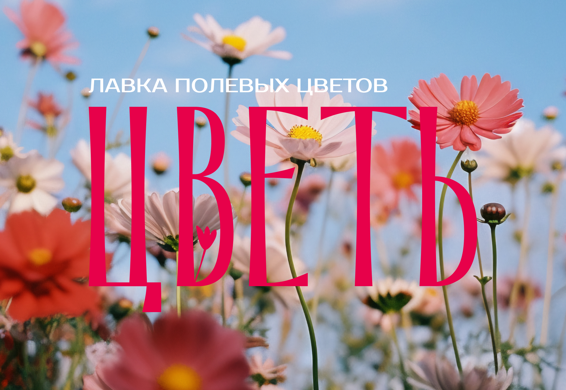 Брендинг | Лавка полевых цветов — Изображение №7 — Интерфейсы, Брендинг на Dprofile