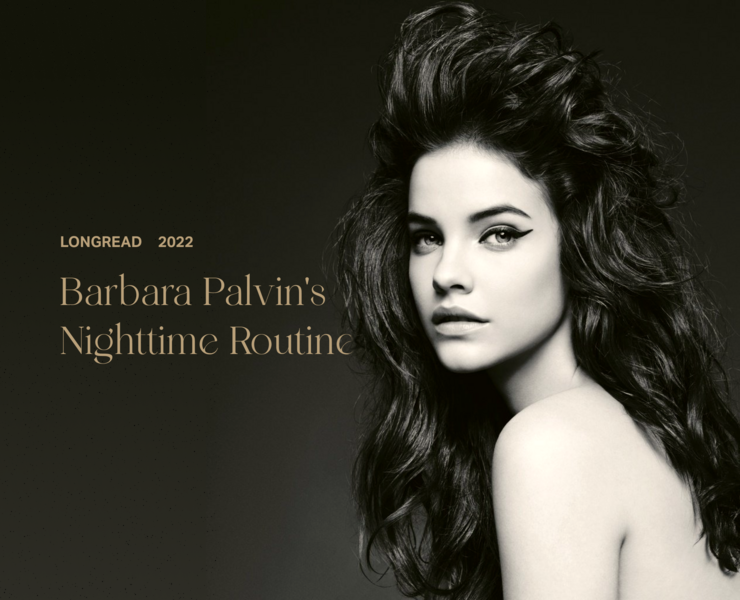 Longread about Barbara Palvin — Интерфейсы на Dprofile