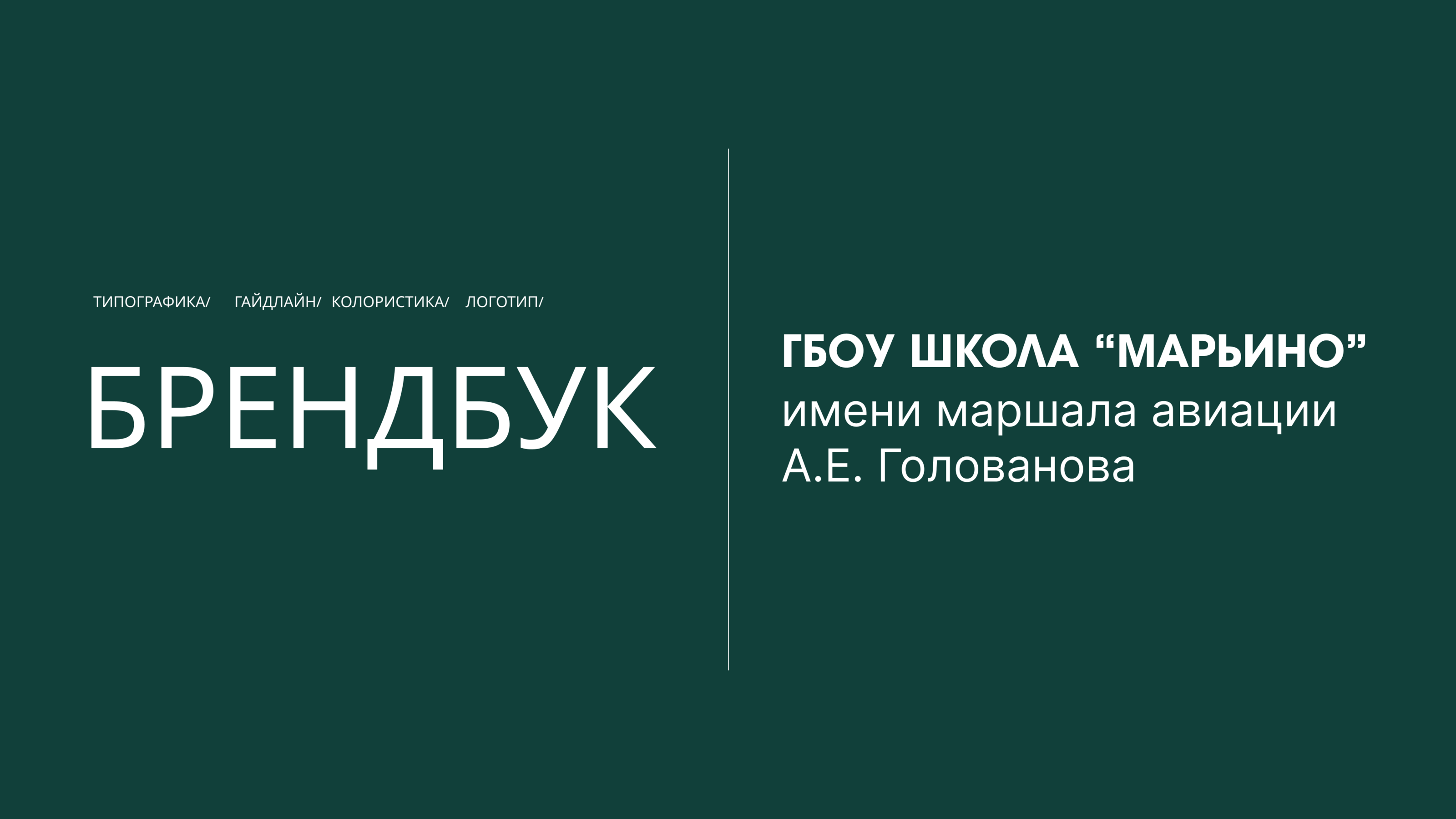 Brandbook — Изображение №2 — Брендинг, Интерфейсы на Dprofile