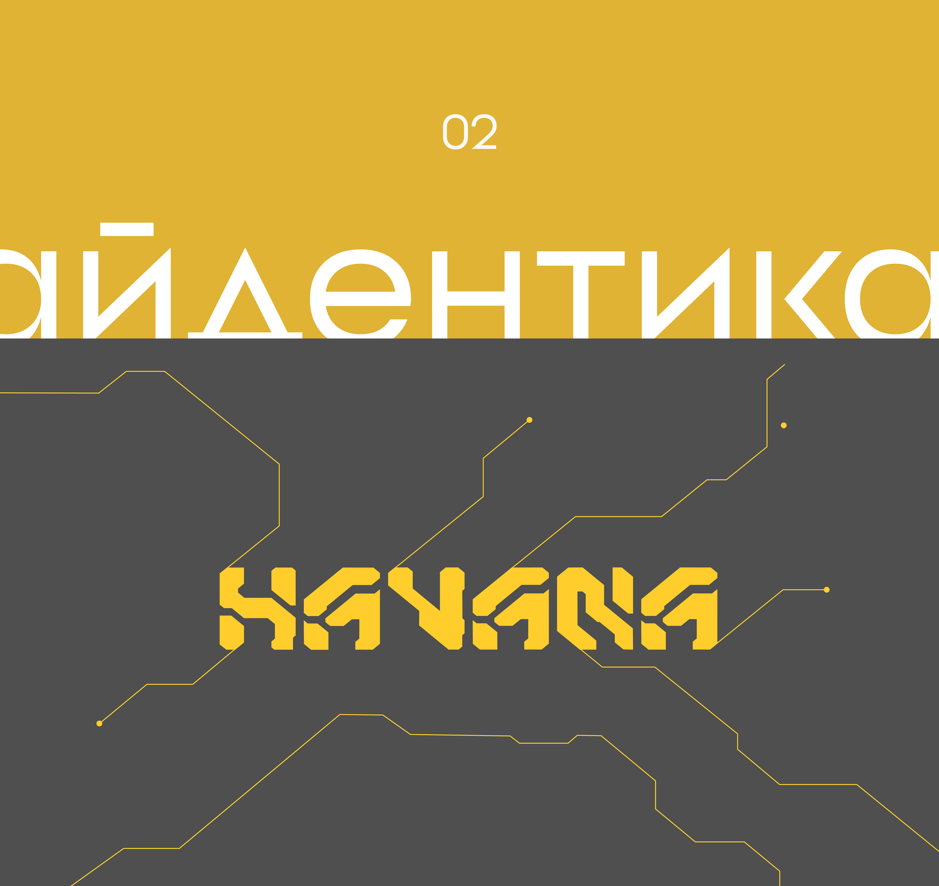 Портфолио графического дизайнера — Изображение №31 — Брендинг на Dprofile