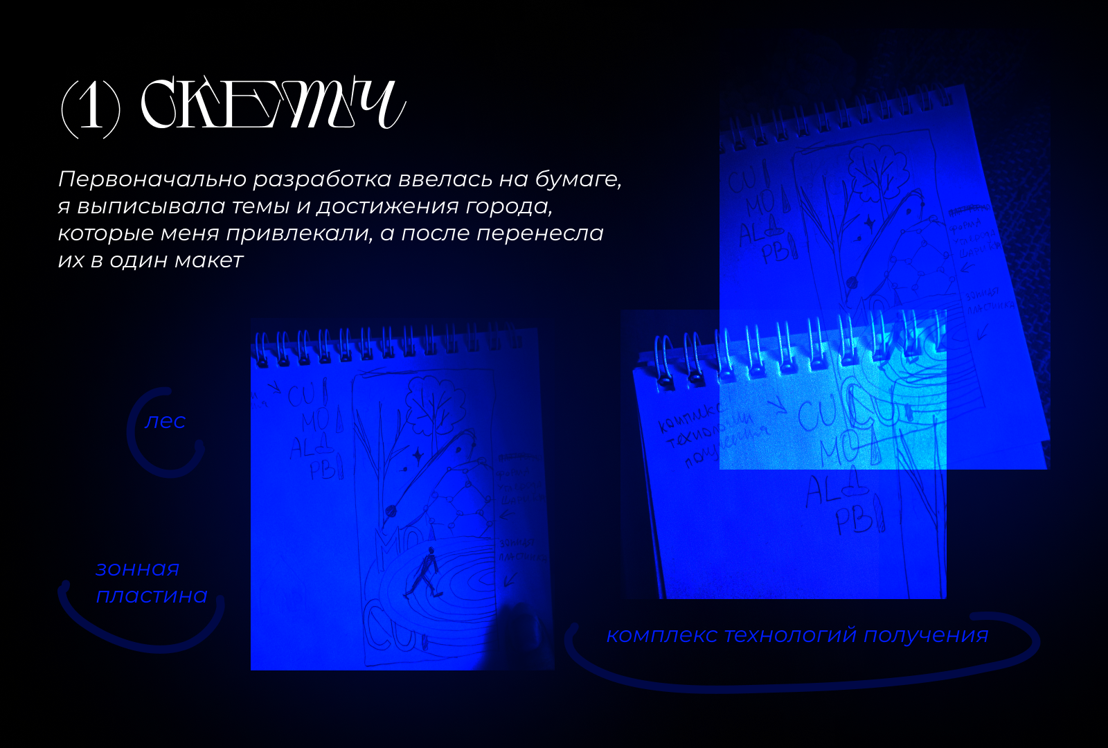 черноголовка // дизайн проекции — Изображение №3 — Брендинг, Иллюстрация на Dprofile