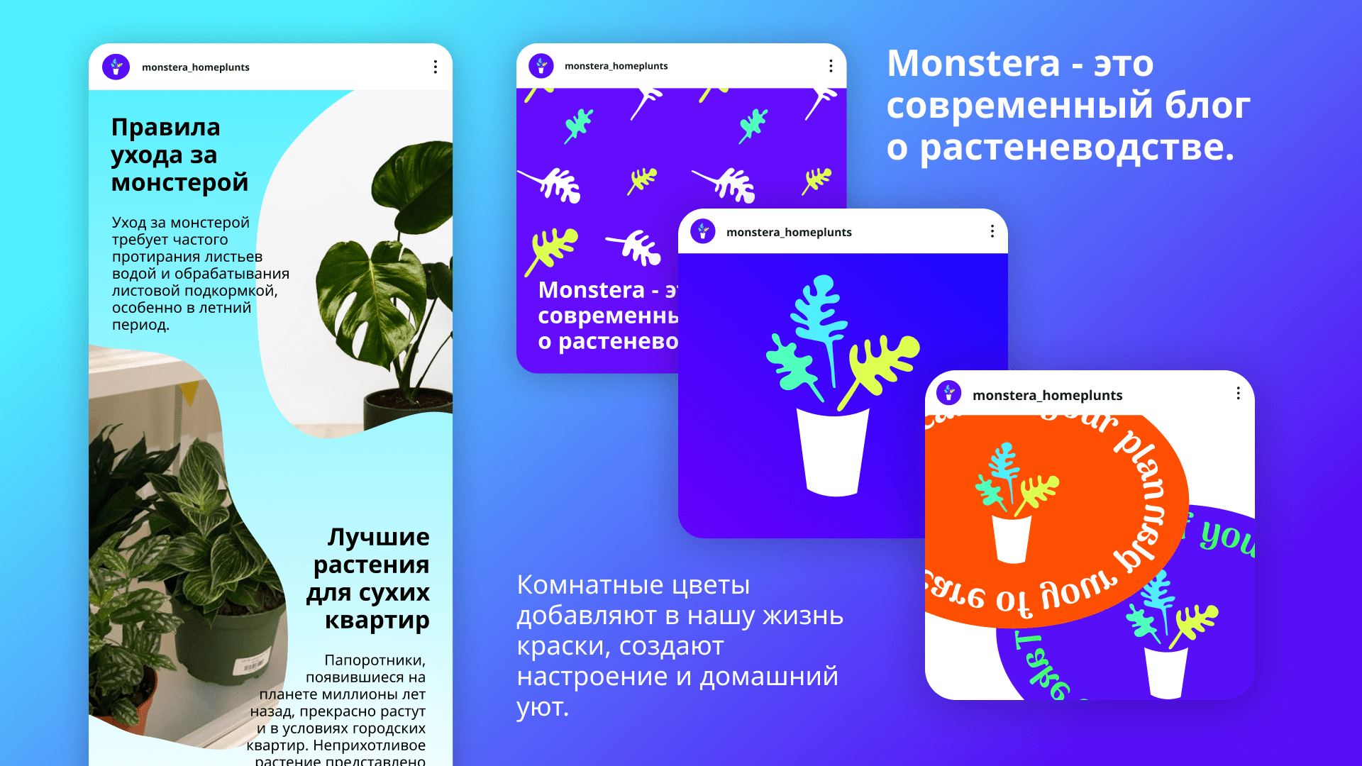 Monstera | блог по уходу за домашними растениями | logo — Изображение №6 — Брендинг на Dprofile