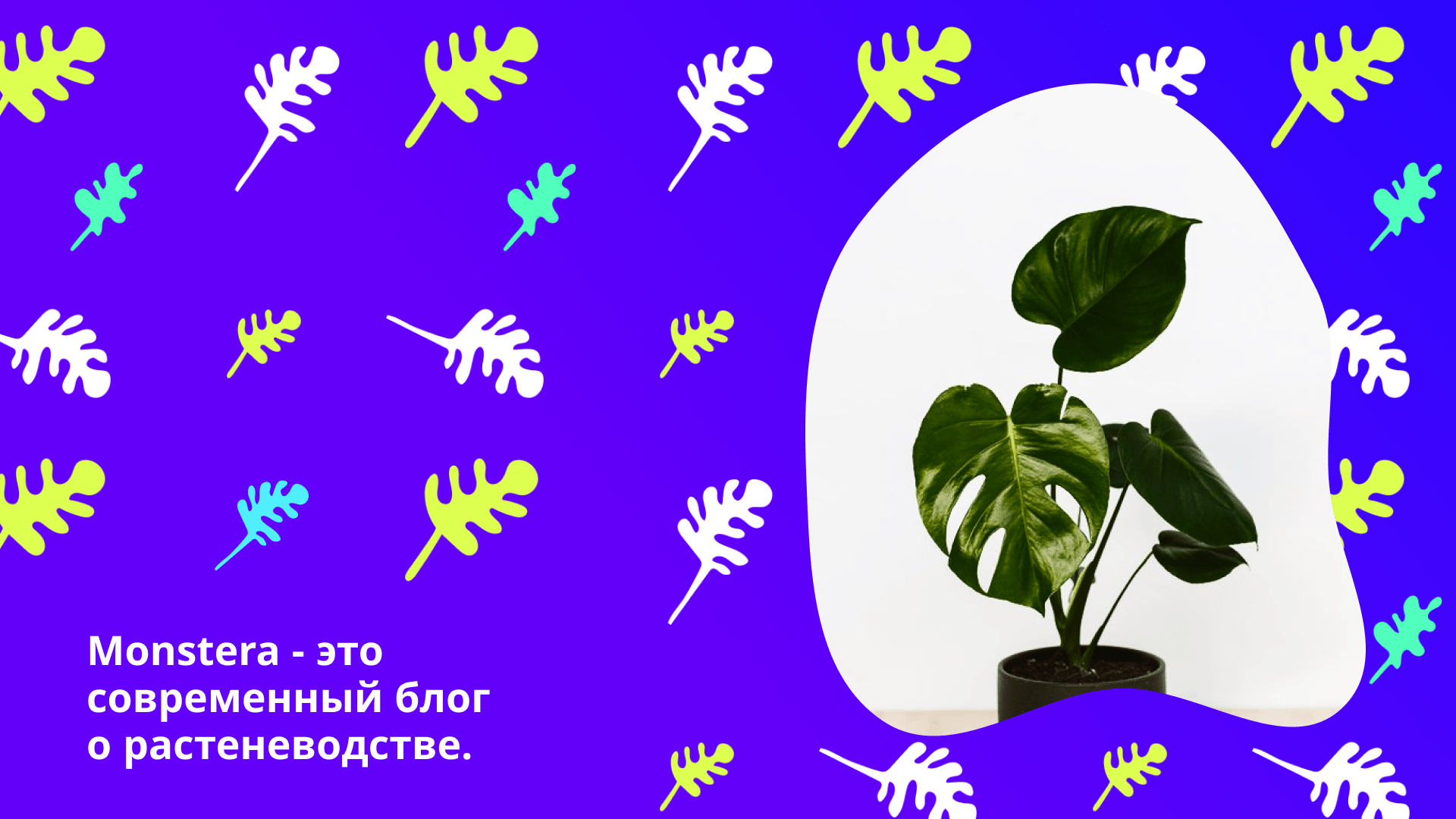 Monstera | блог по уходу за домашними растениями | logo — Изображение №3 — Брендинг на Dprofile