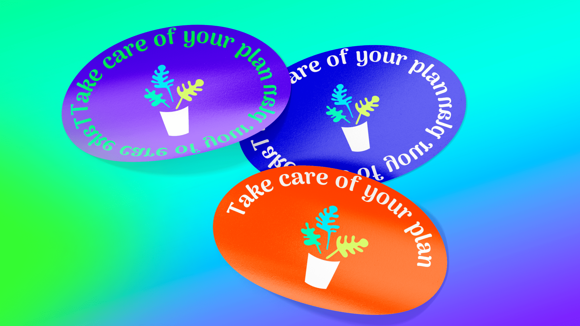 Monstera | блог по уходу за домашними растениями | logo — Изображение №4 — Брендинг на Dprofile