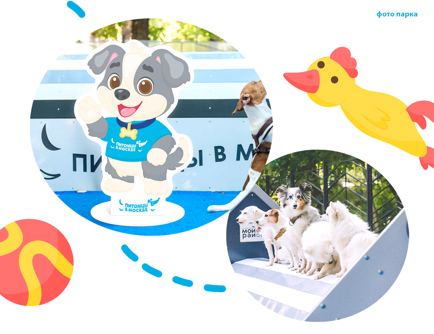 Бренд персонаж для проекта "Питомцы в Москве" — Изображение №3 — Иллюстрация, Графика на Dprofile