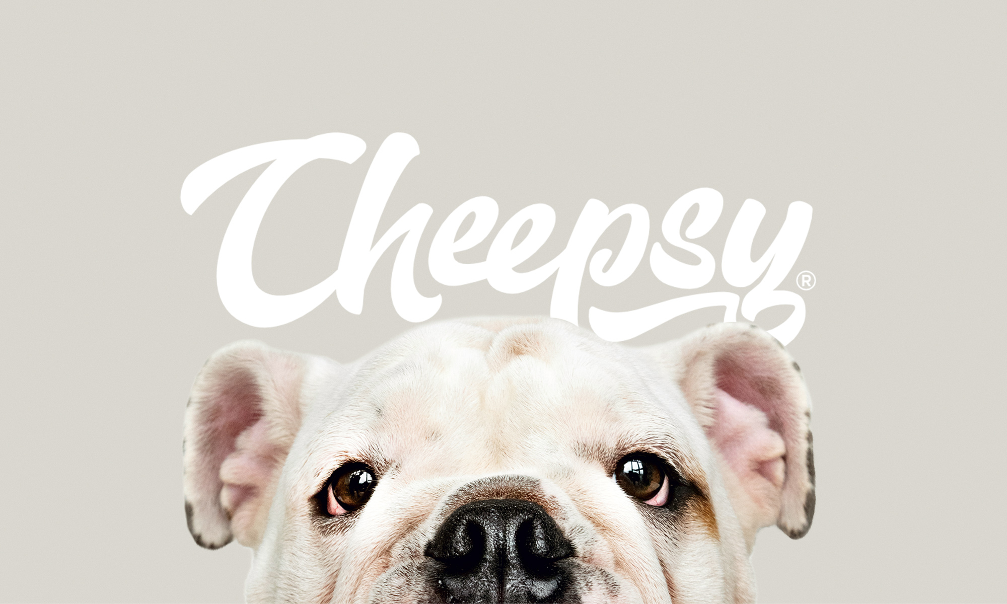 Cheepsy - полнорационные корма для собак — Изображение №2 — Брендинг на Dprofile