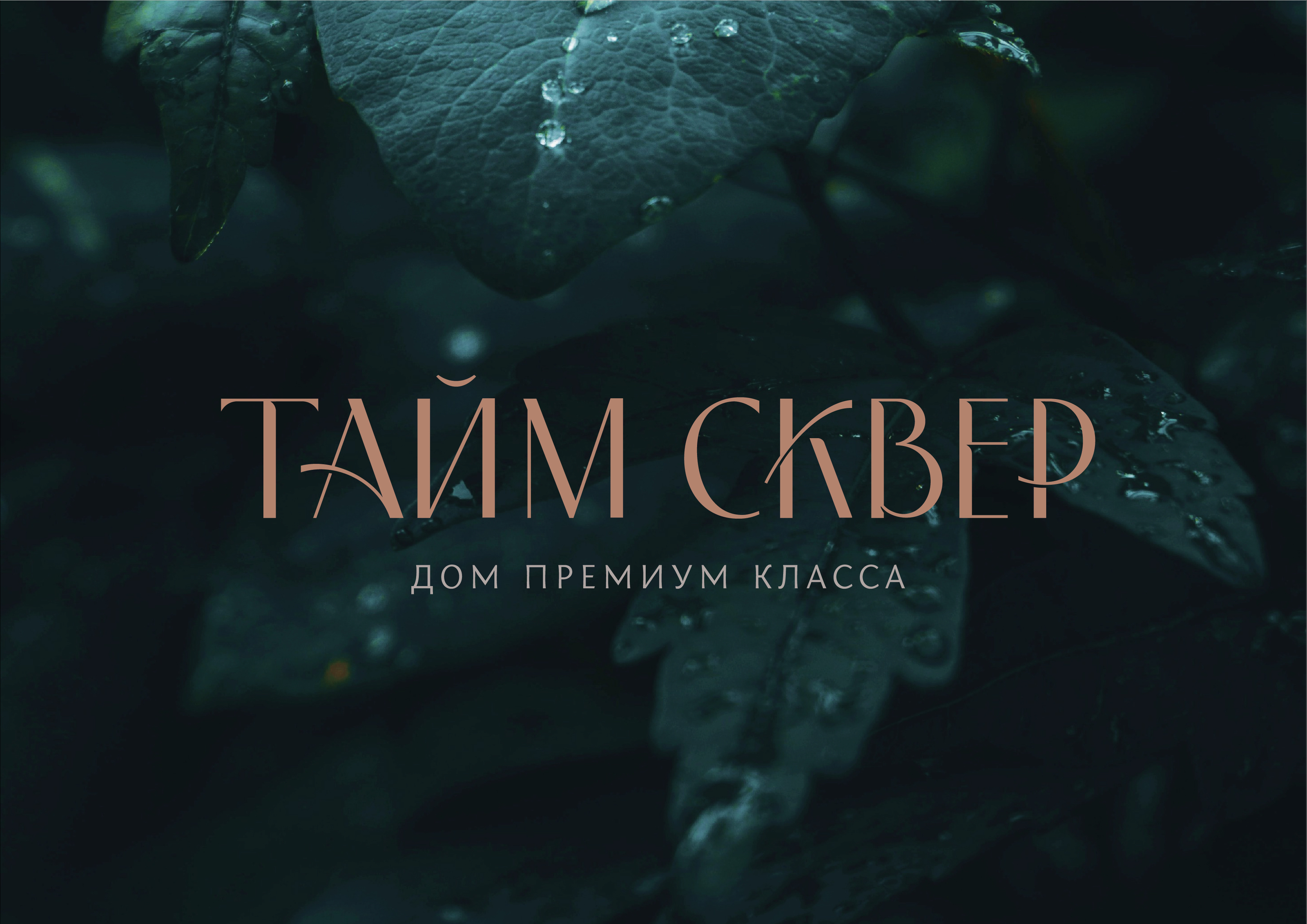 ТАЙМ СКВЕР — Изображение №9 — Брендинг на Dprofile