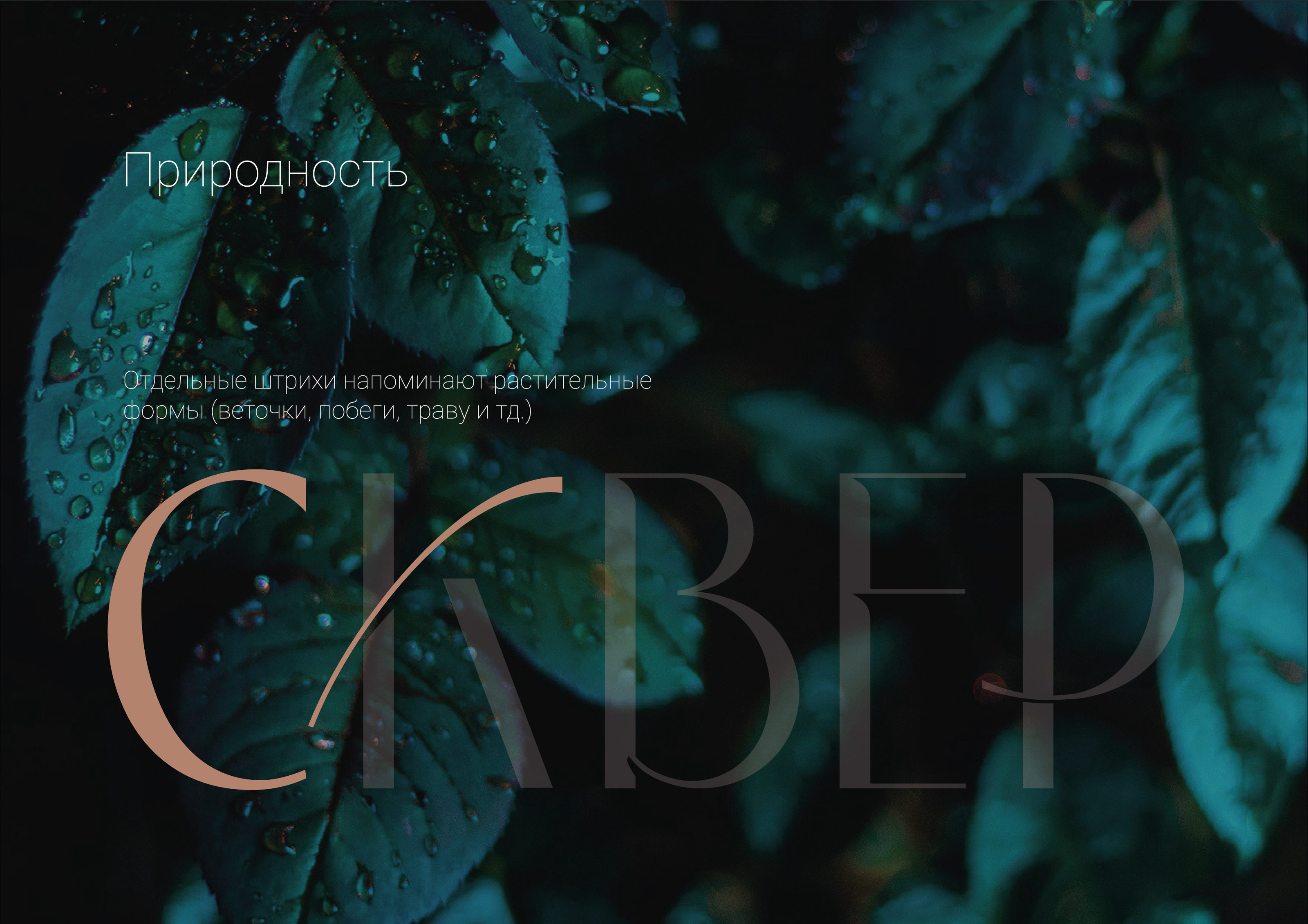 ТАЙМ СКВЕР — Изображение №5 — Брендинг на Dprofile