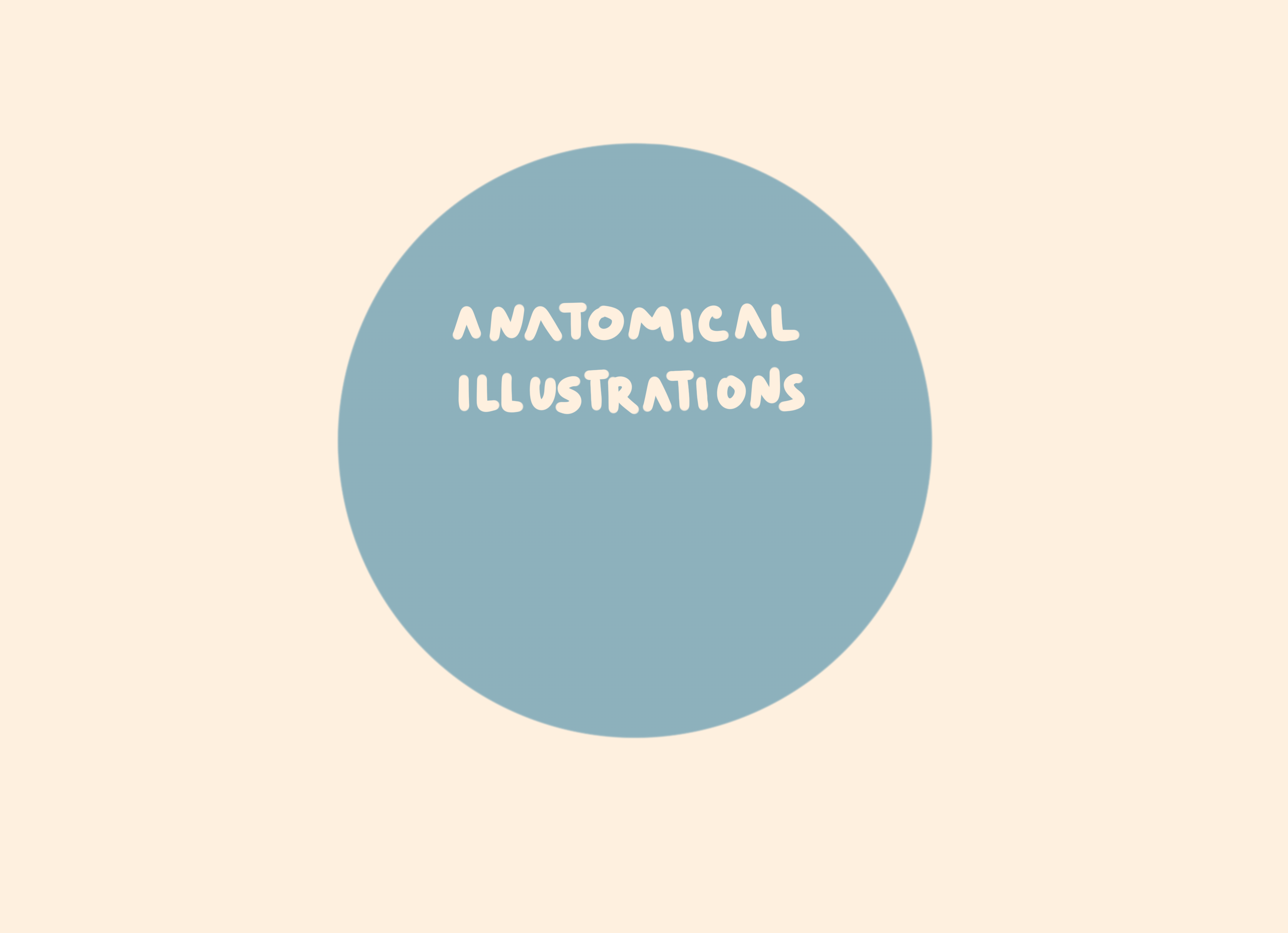 Medical illustration | anatomy — Изображение №1 — Иллюстрация, Анимация на Dprofile