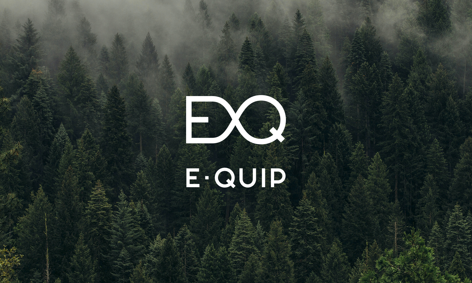 Айдентика торговой марки E-quip — Изображение №2 — Брендинг, Графика на Dprofile