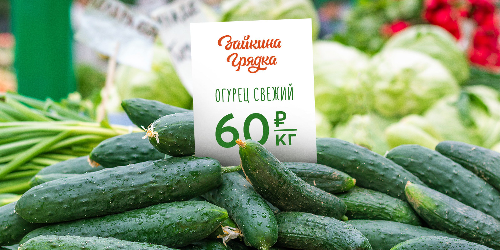 Айдентика торговой марки Зайкина Грядка — Изображение №6 — Брендинг на Dprofile