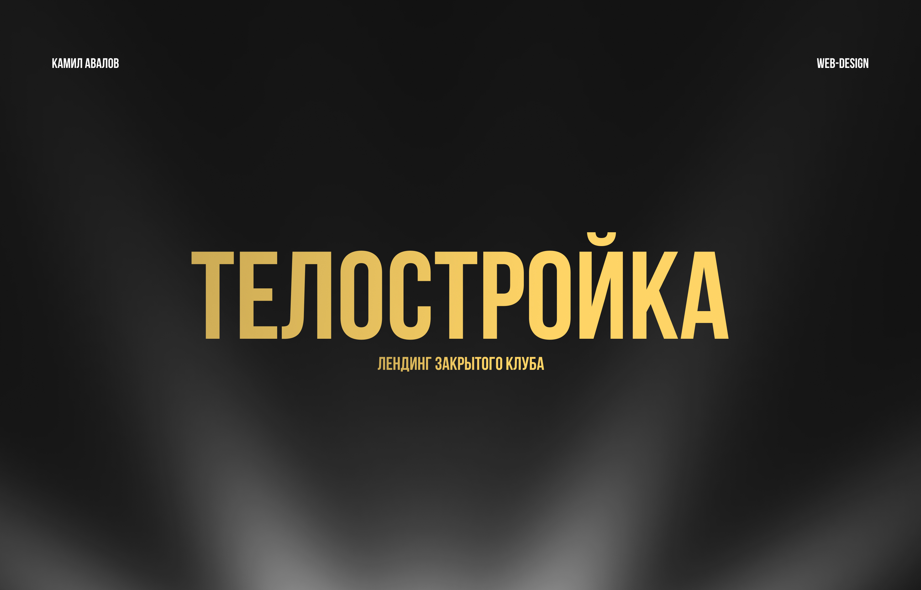 Телостройка - Landing Design — Изображение №1 — Интерфейсы, Графика на Dprofile