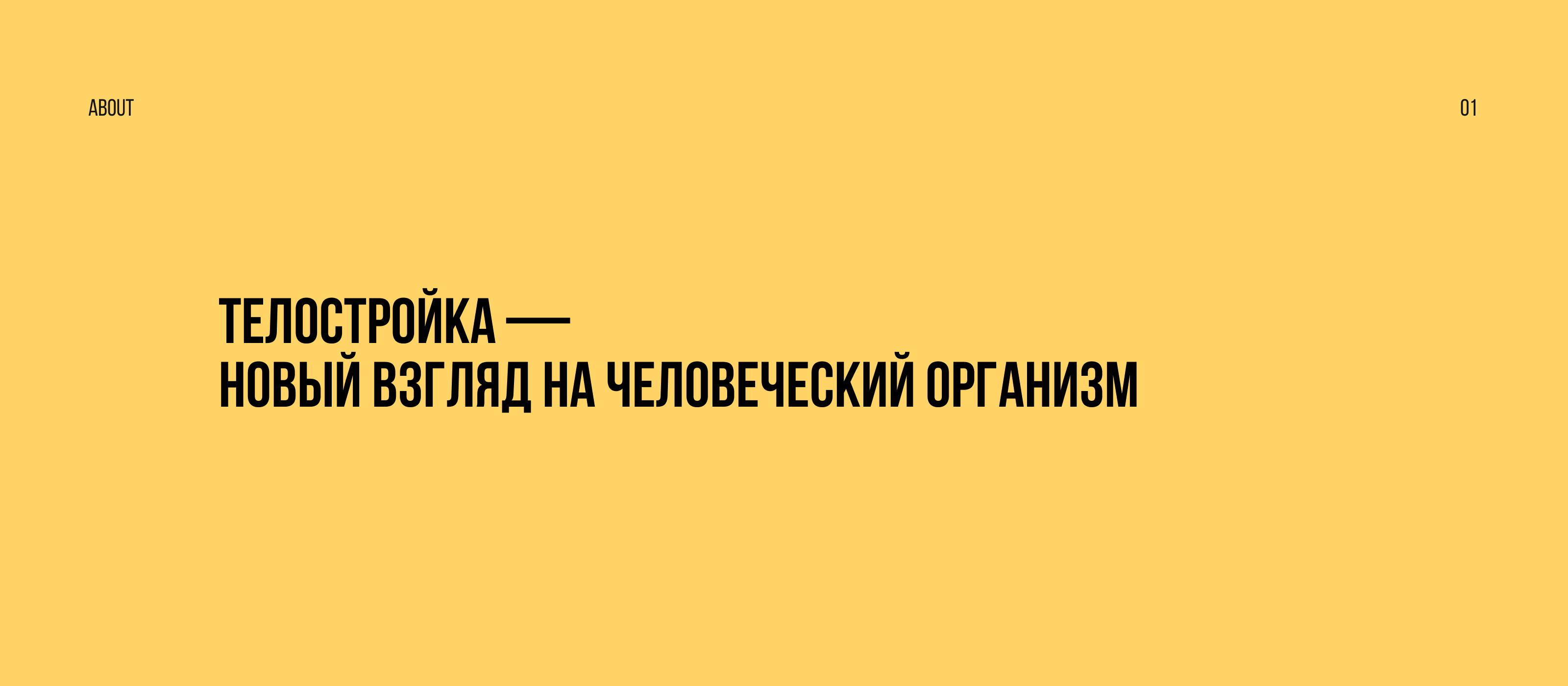 Телостройка - Landing Design — Изображение №2 — Интерфейсы, Графика на Dprofile