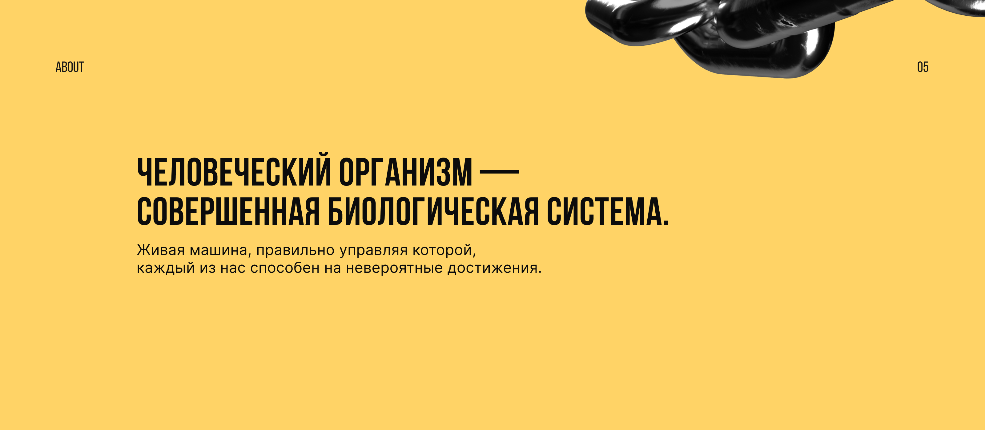 Телостройка - Landing Design — Изображение №6 — Интерфейсы, Графика на Dprofile