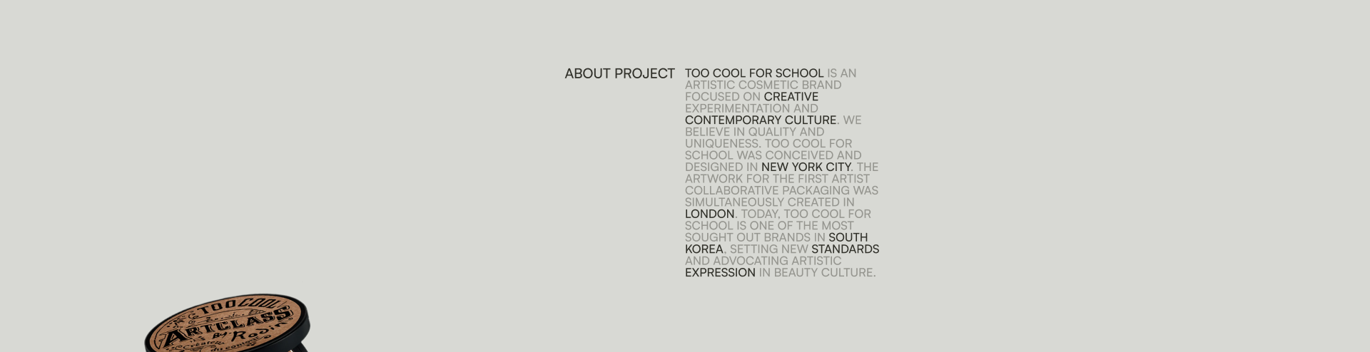 Too Cool for School / E-commerce redesign — Изображение №2 — Интерфейсы на Dprofile
