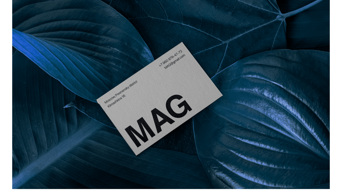 Luxury Real Estate Agency MAG — Изображение №7 — Интерфейсы, Графика на Dprofile